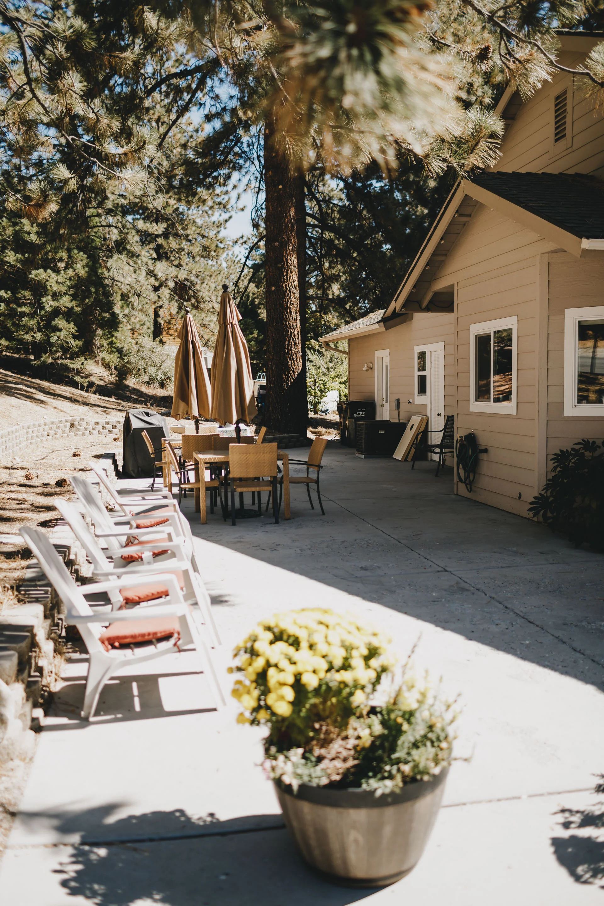 Photos of the Applewood Inn — Applewood Inn