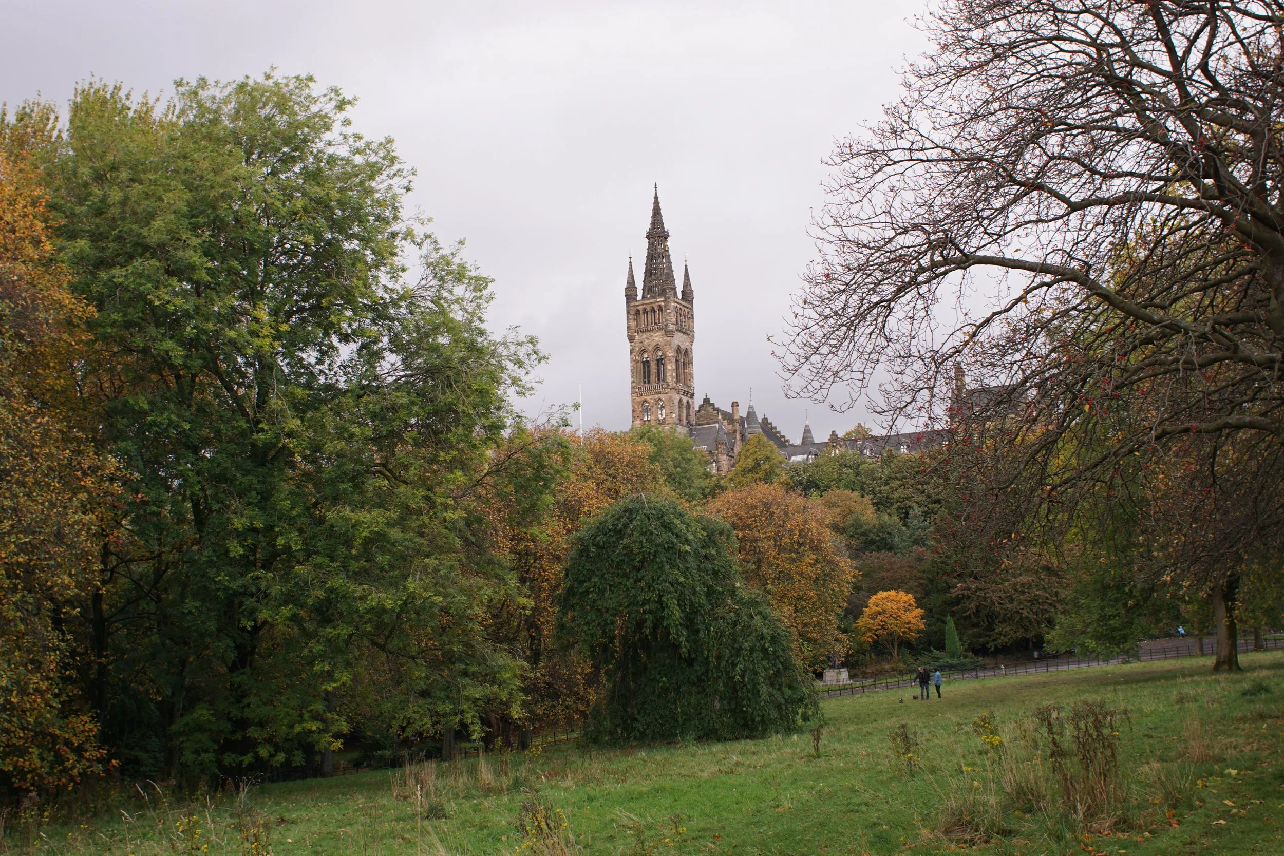 DSC01494.JPG