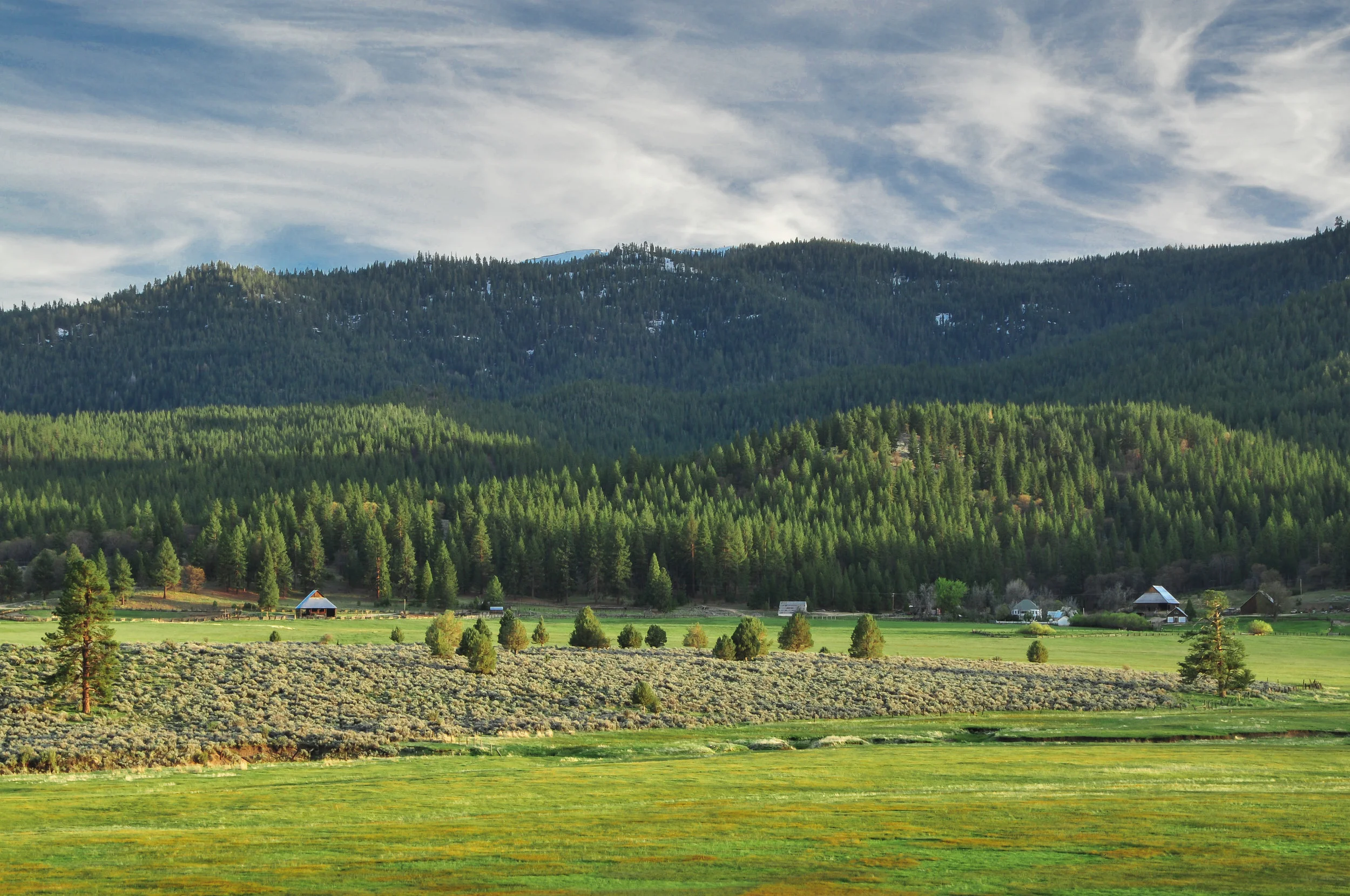 LCCA View of Hulsman.jpg