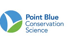 logo point blue.jpg