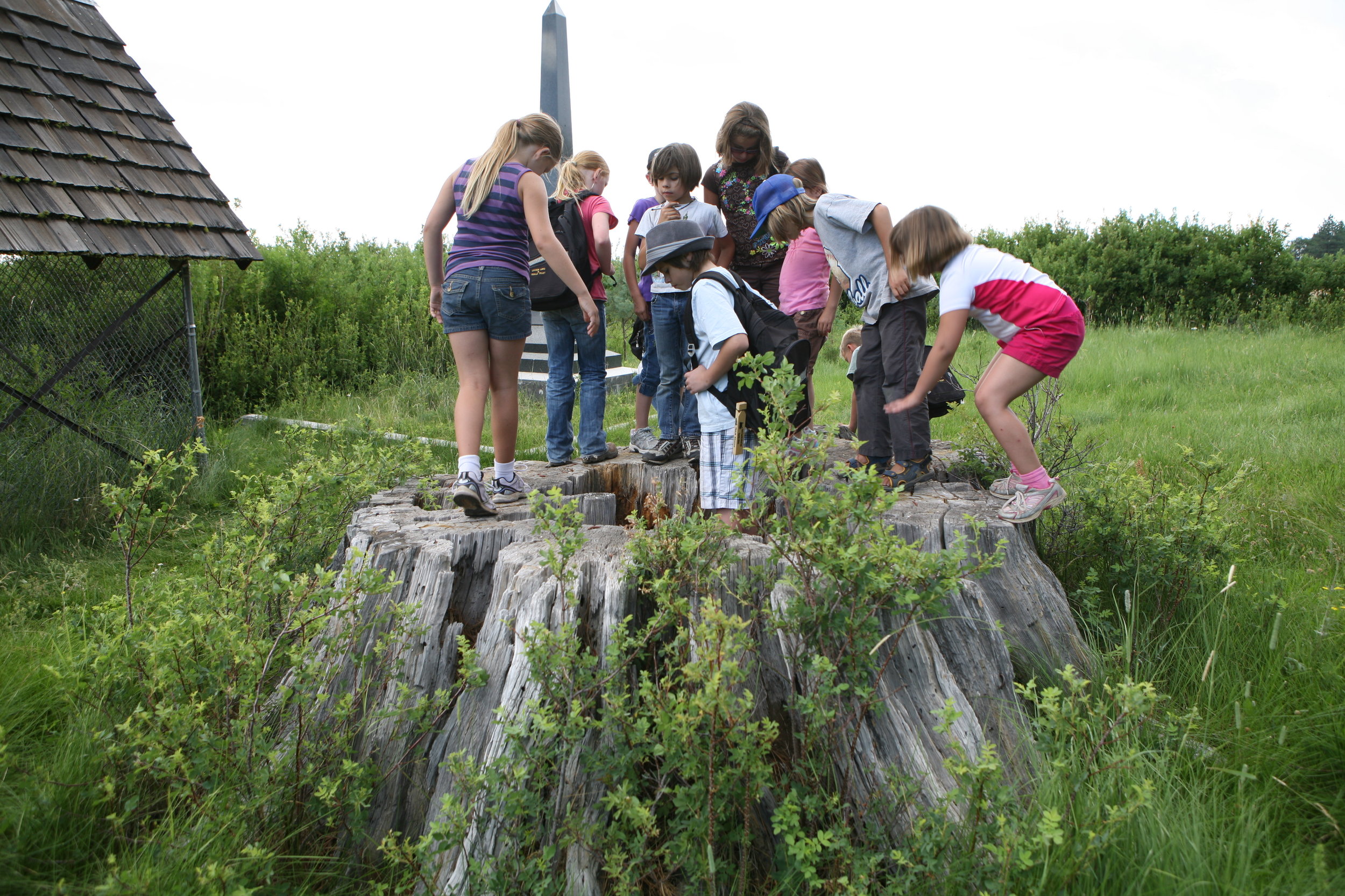 Nature Camp (Session 2)