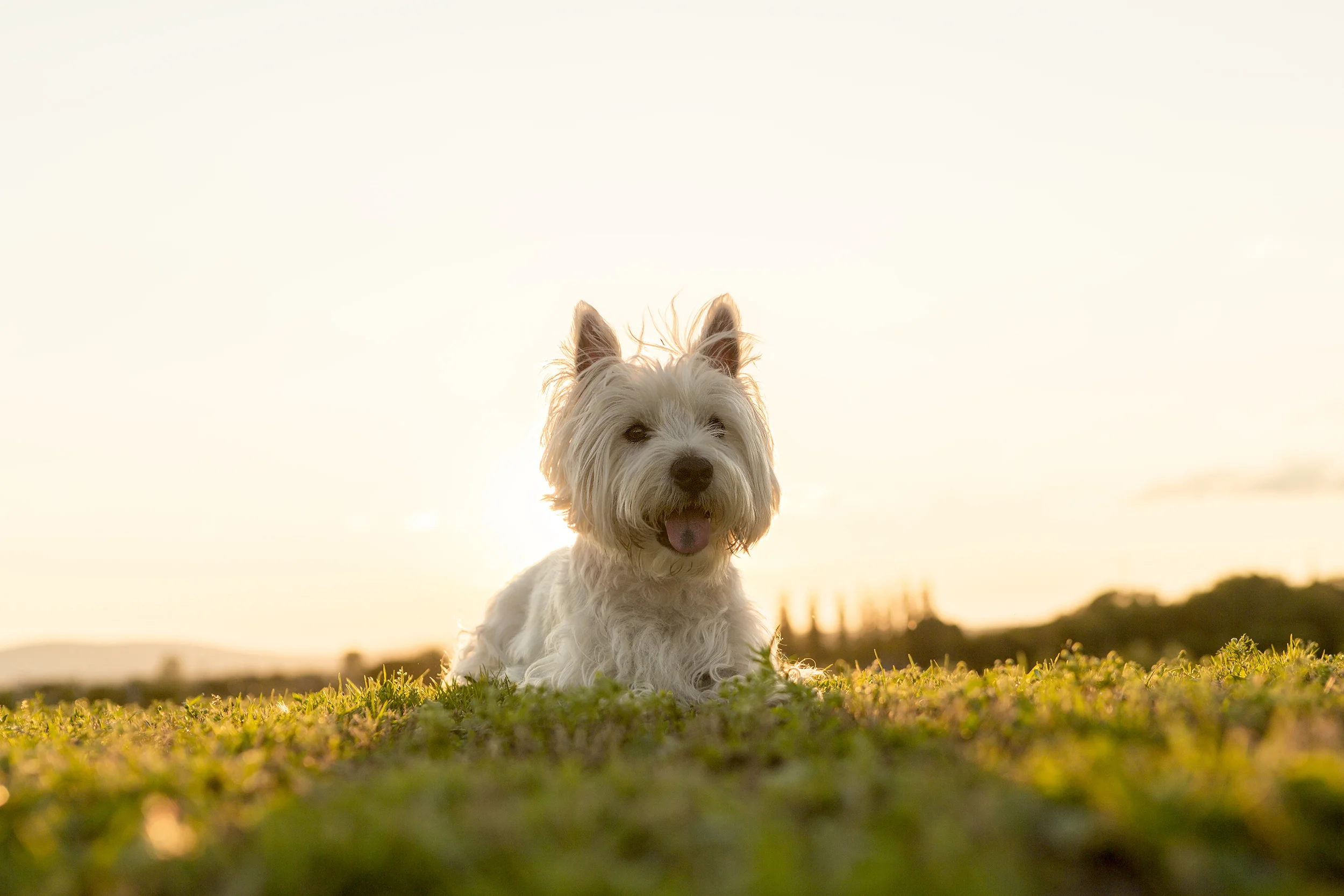 Hotel Near Cannon Beach Inn at Arch Cape Oregon Coast Hotels
