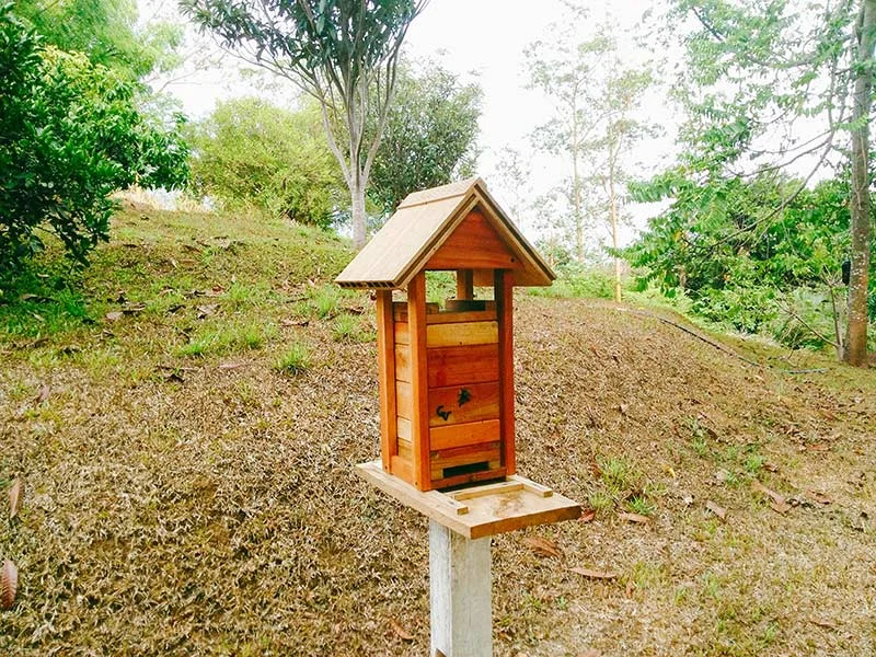 Colmena de Mariola criada en caja racional ubicada en la Garita de Alajuela.