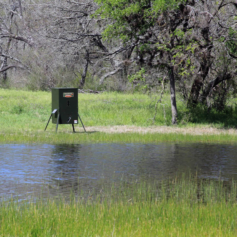 DF425ALDirectionalFishFeederOnCreek__21456.1386360928.800.800.jpg
