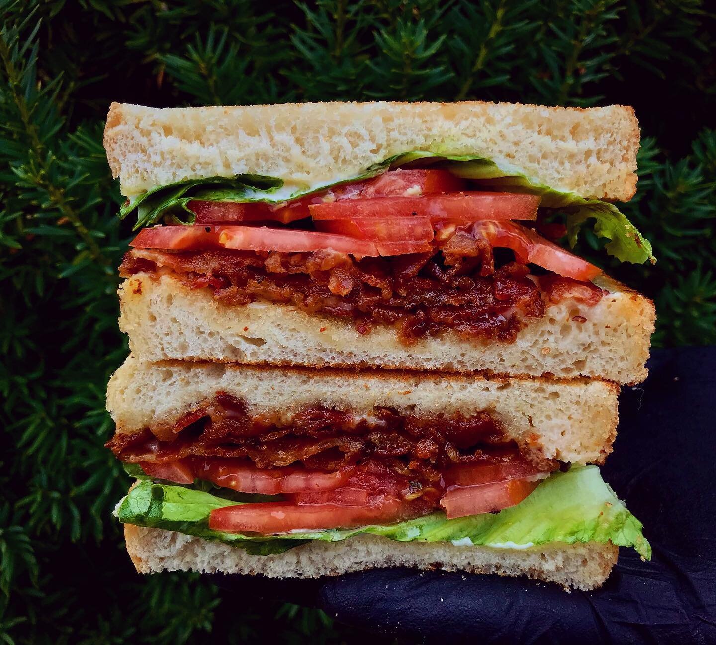 #tbt &amp; let the nostalgia kick in on this #NationalBLTDay 🥪 We&rsquo;re serving up the CLASSIC BLT: Bacon, lettuce, tomato, mayo, and salt &amp; pepper on toasted Appalachian bread!
&bull;
Open until 3:00 today for online orders ( Lolasdelicatess
