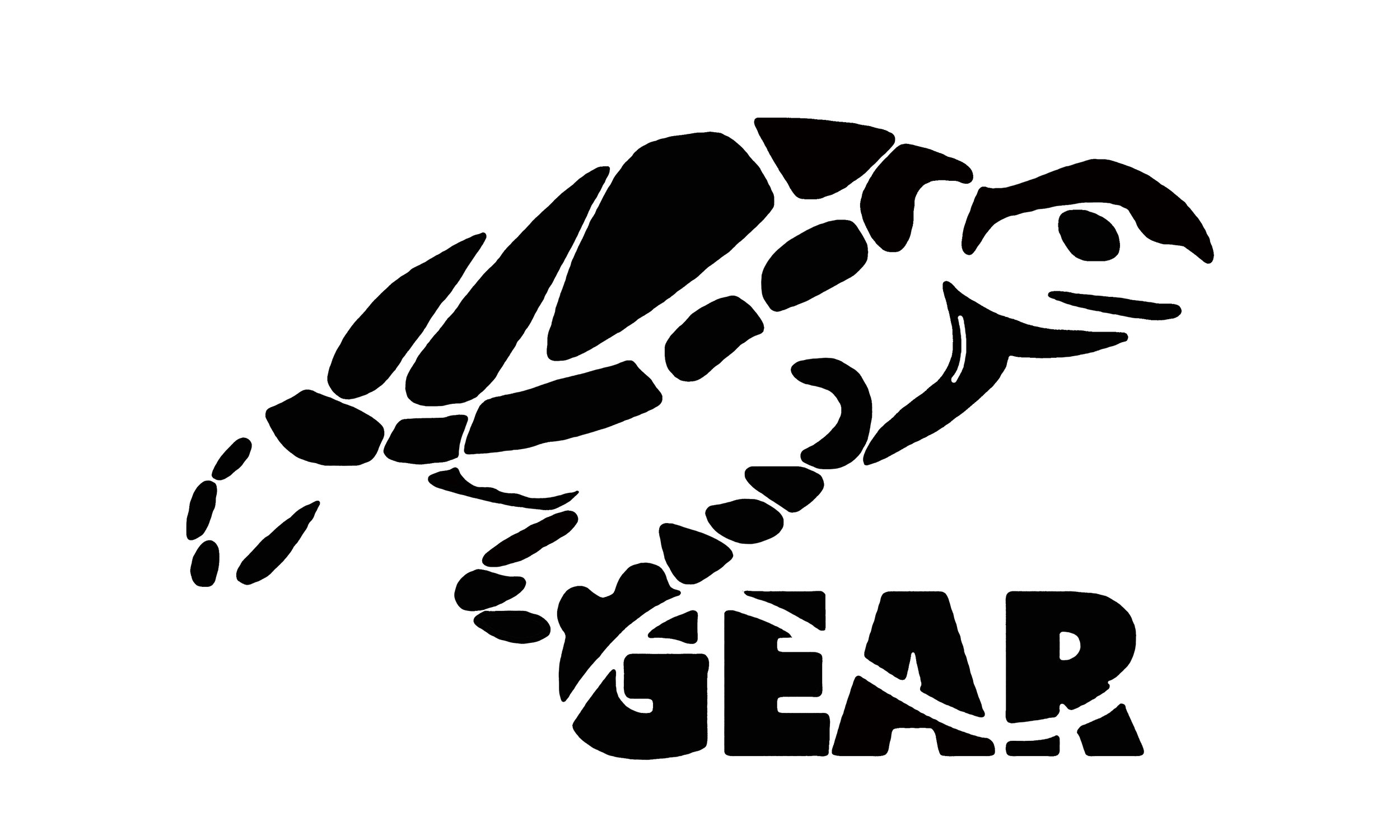 Turtle Gear