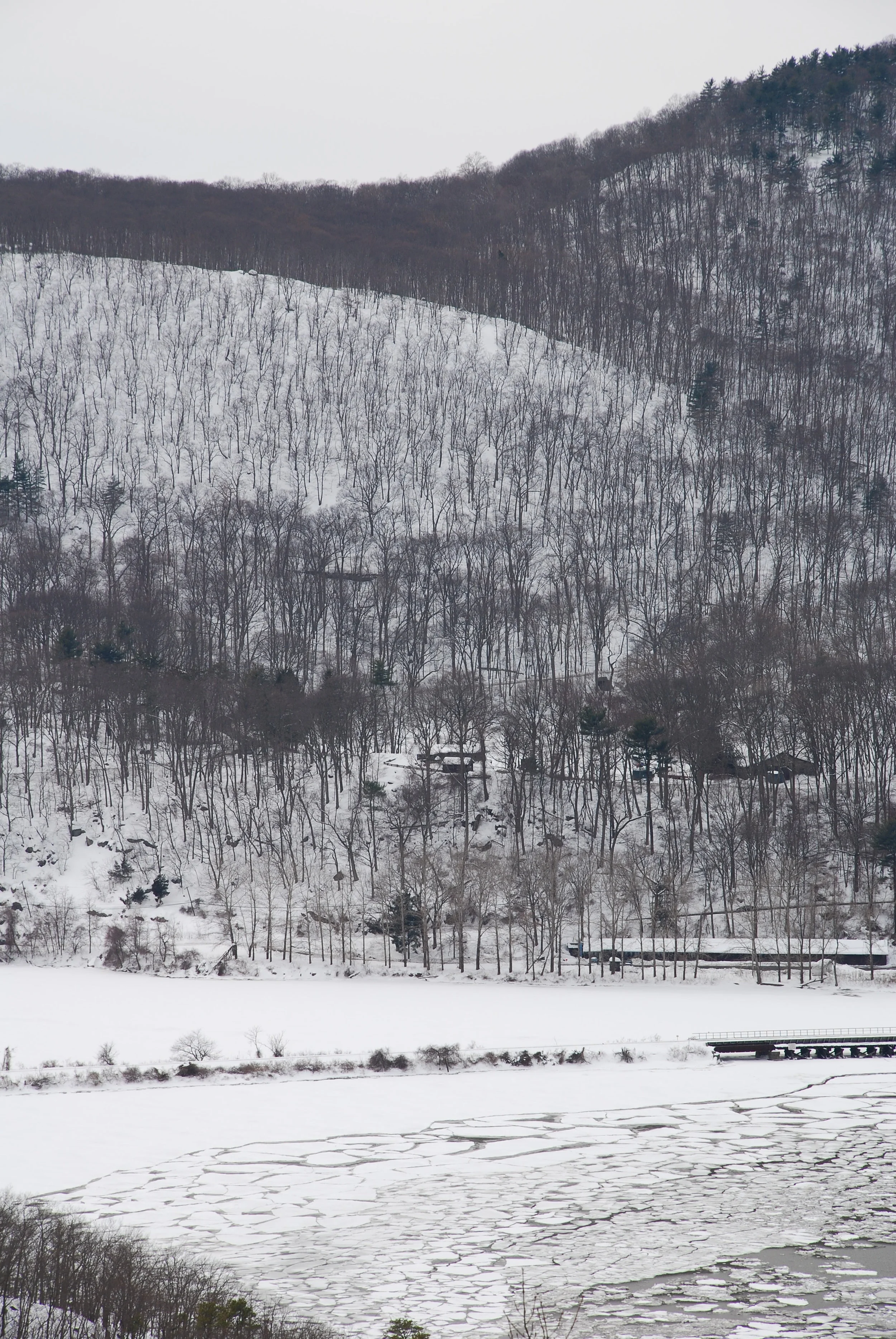 DSC_0660.jpg