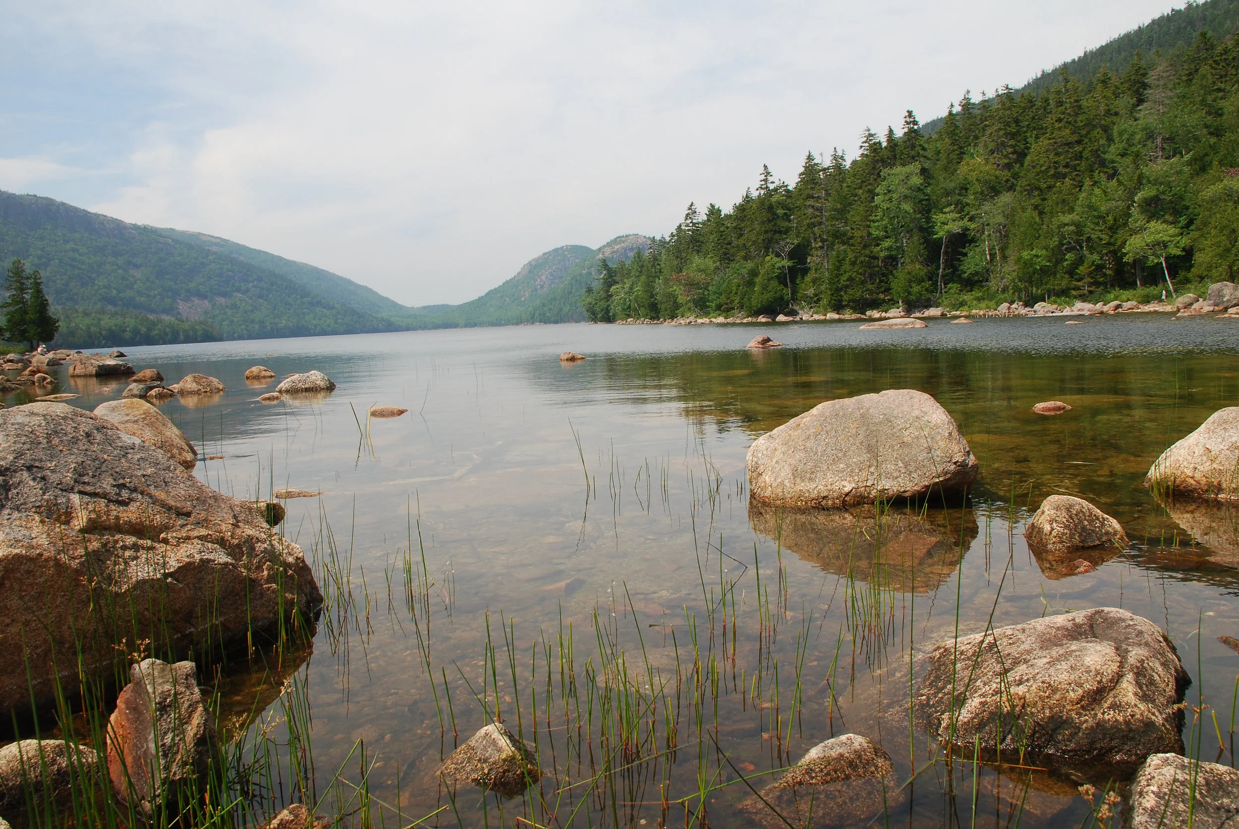 DSC_0880.jpg