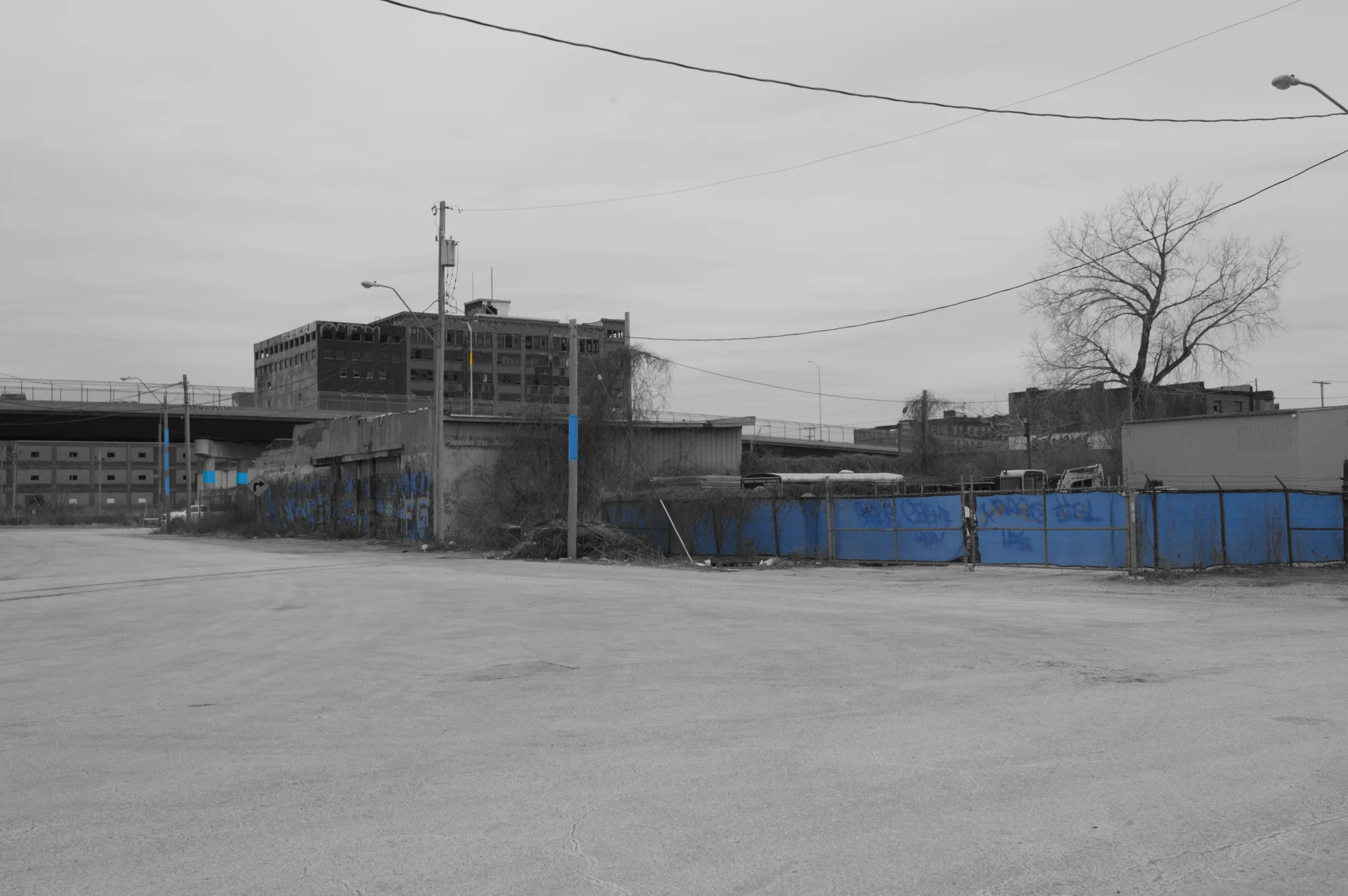 Blue-zone-1-1.jpg