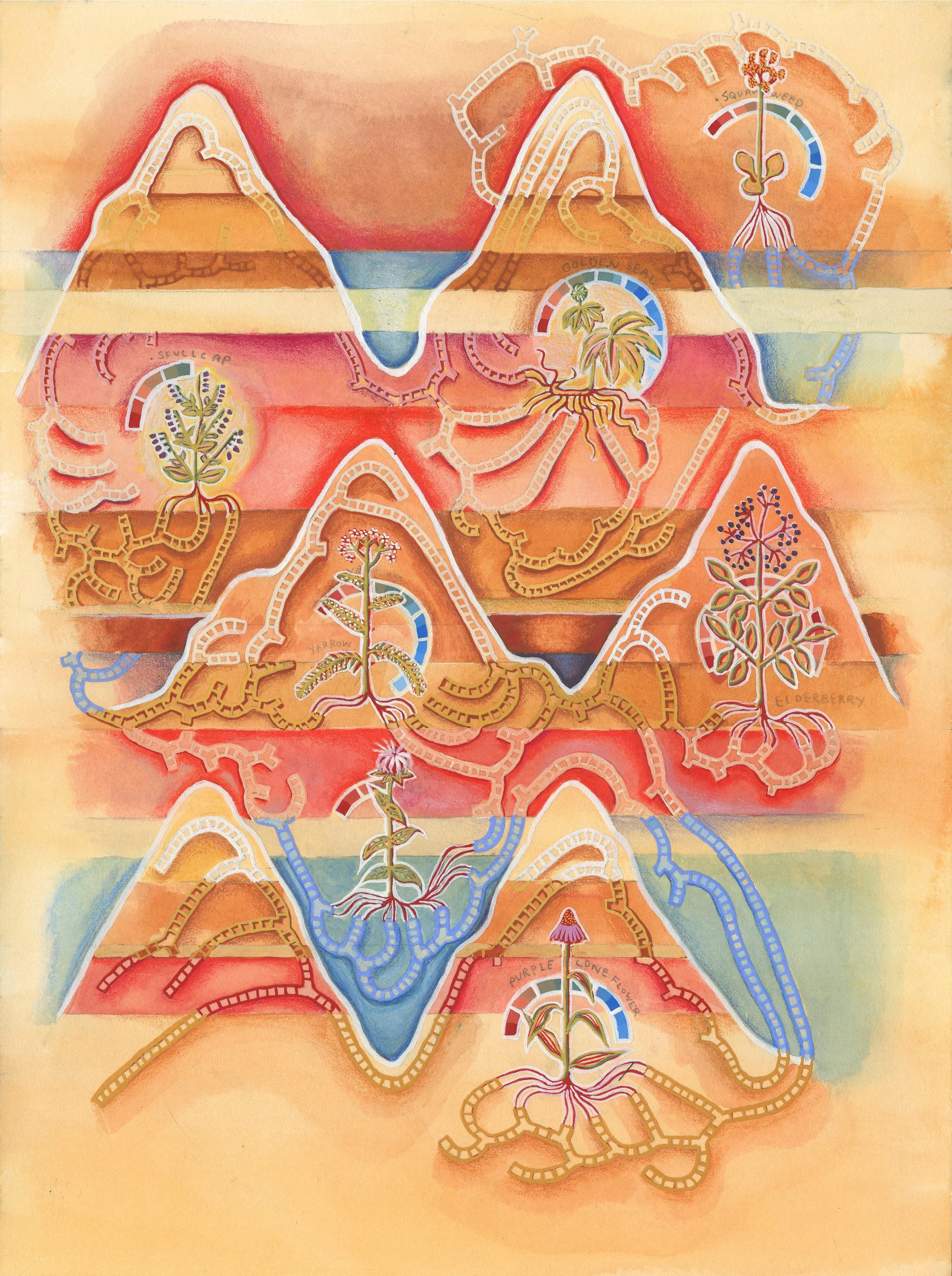 NativeMedicinalHarvestTimeChart.jpg