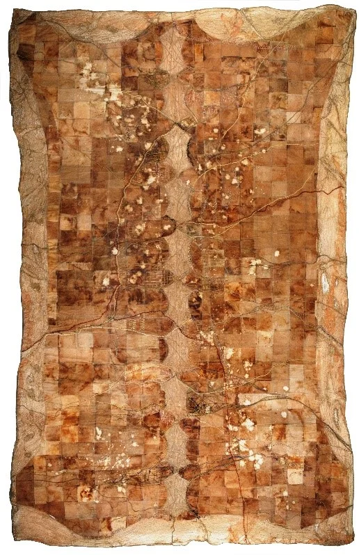 Sue Akerman, Un-titled , mixed media fibre