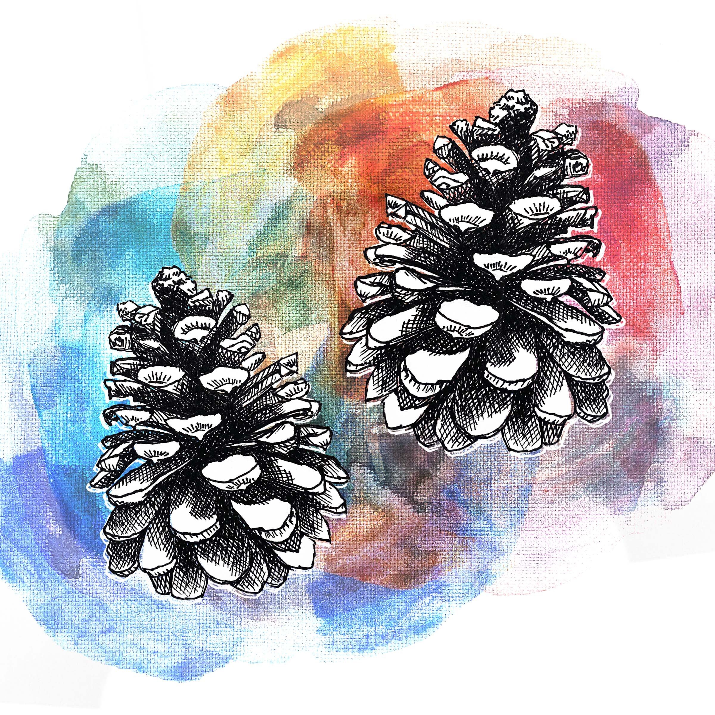 Double Pinecone 8x8.jpeg