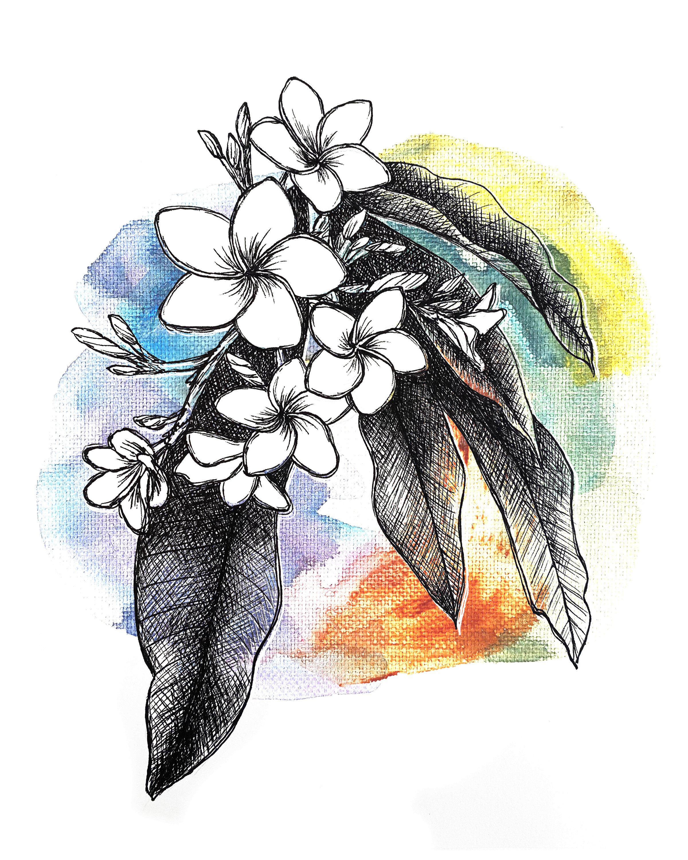 Plumeria 8x10.jpeg