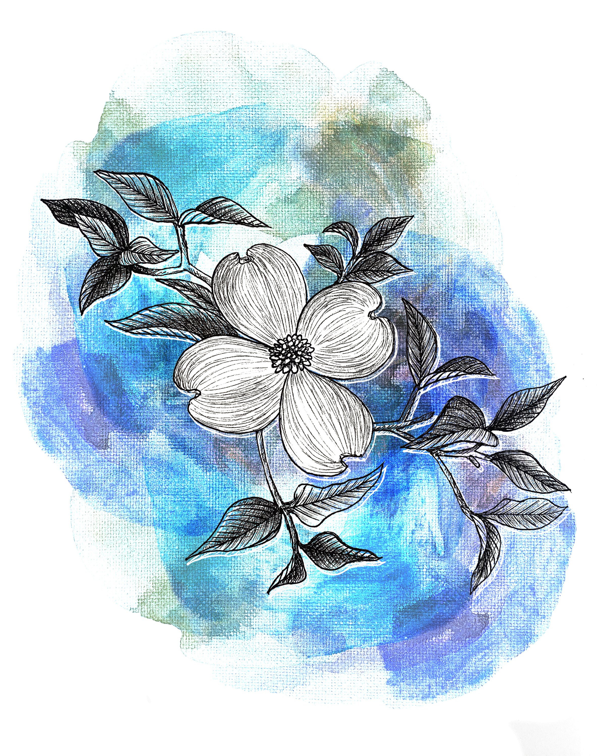 Dogwood 8x10.jpeg