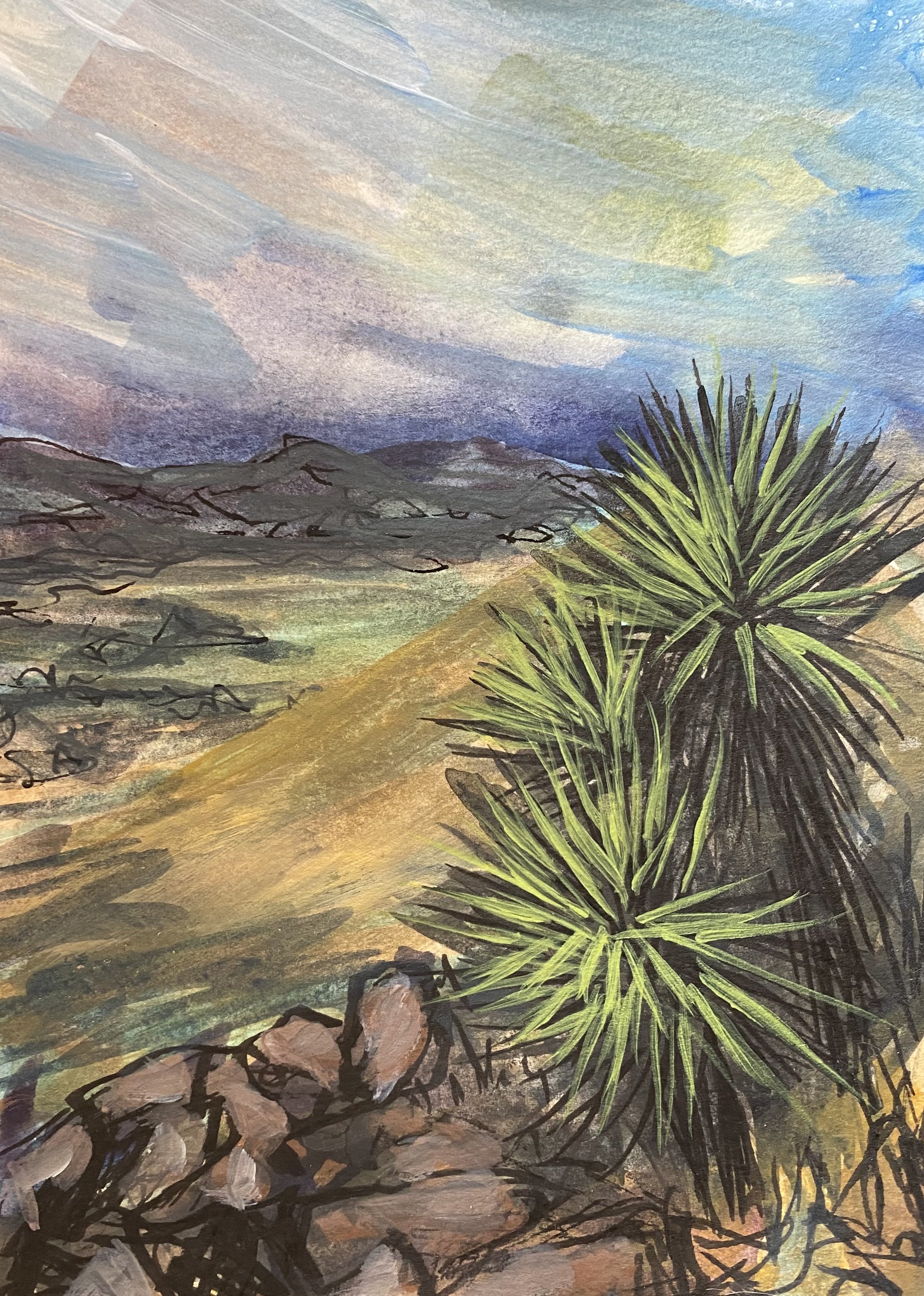 Yucca View 1.jpeg