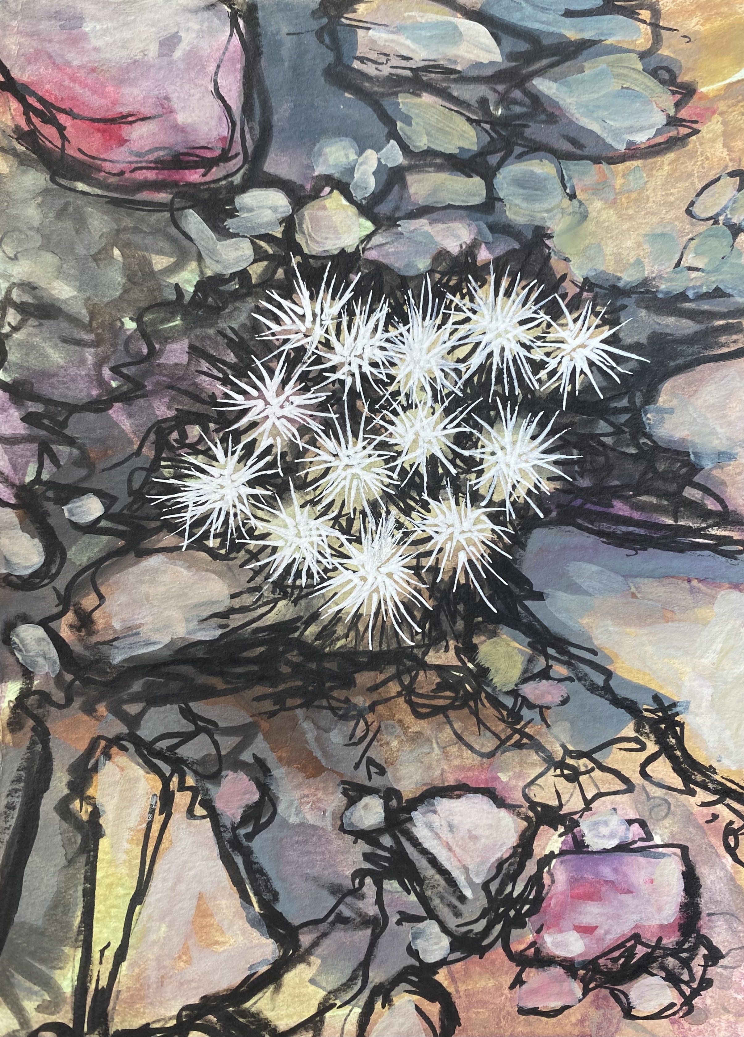 Cholla 2.jpeg