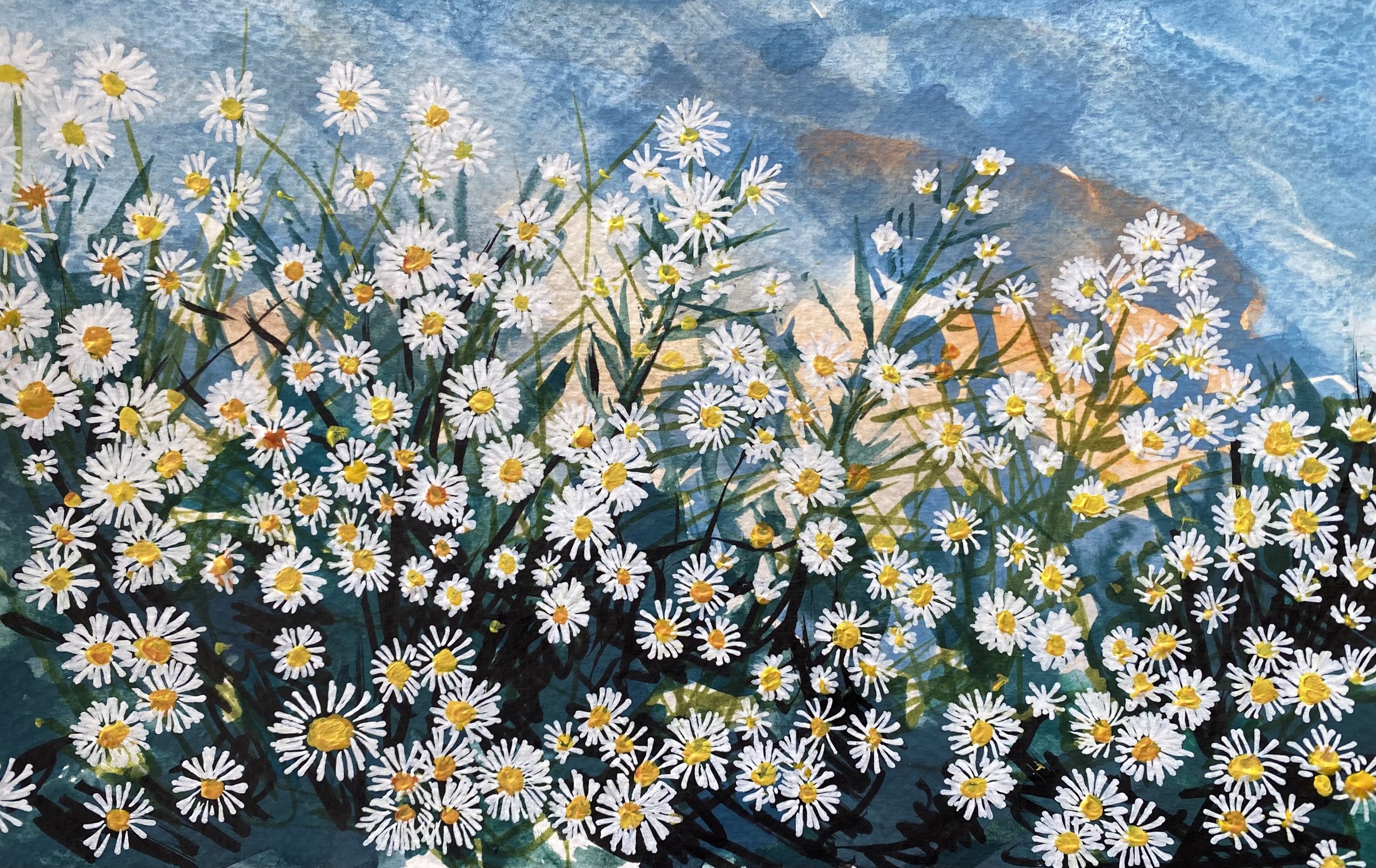 Asters.jpeg