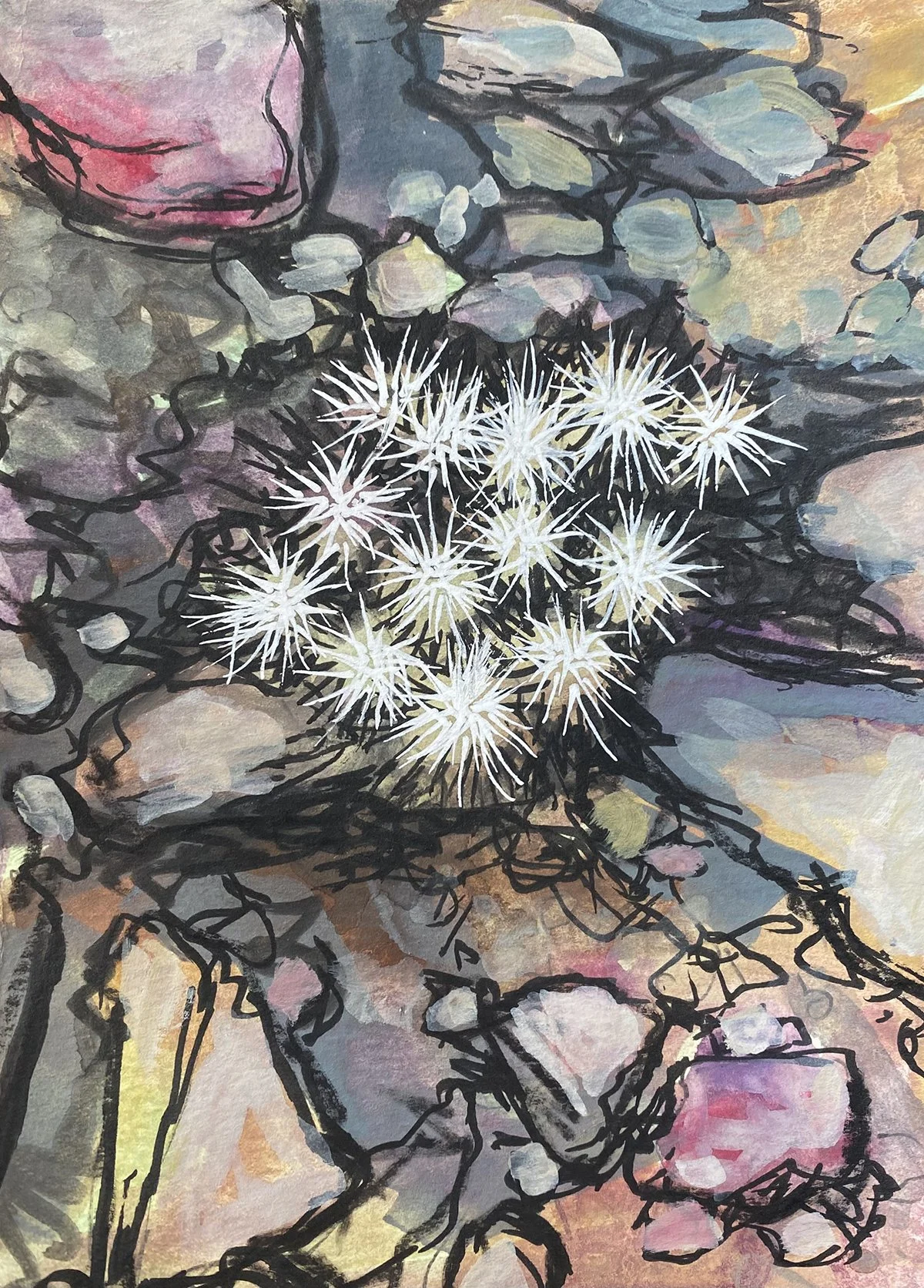 Cholla 2.jpg