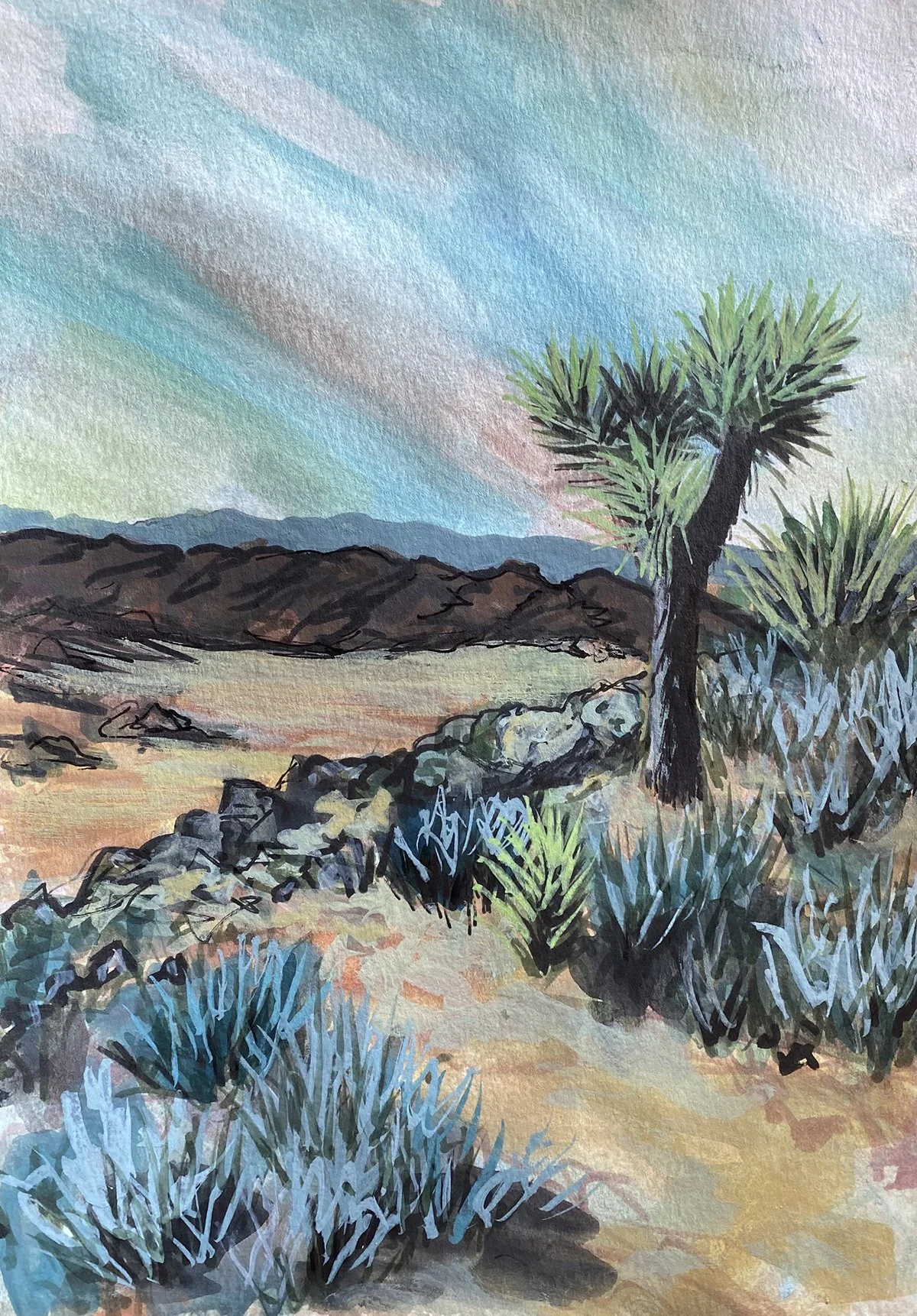 Joshua Tree View.jpg
