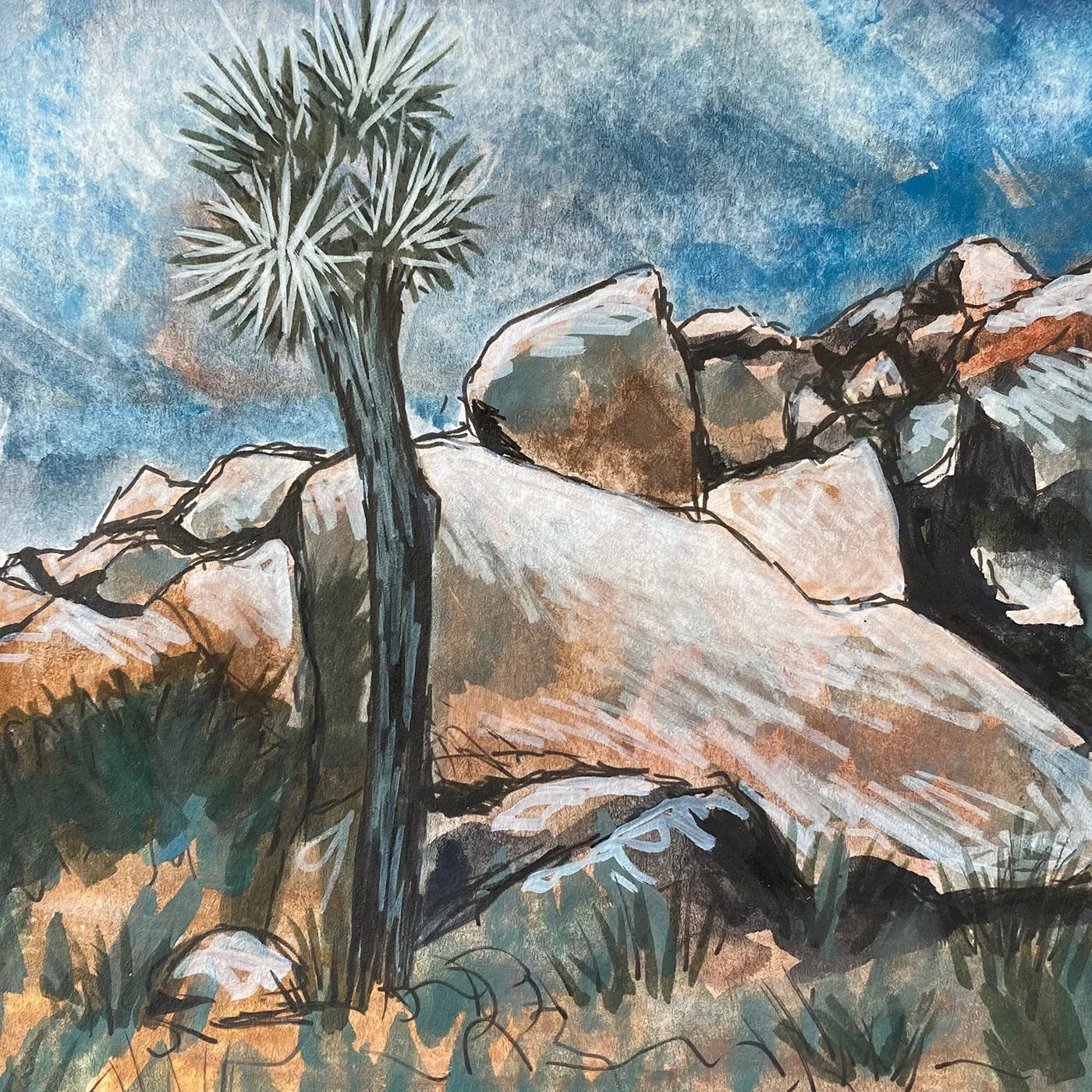 Joshua Tree.jpg