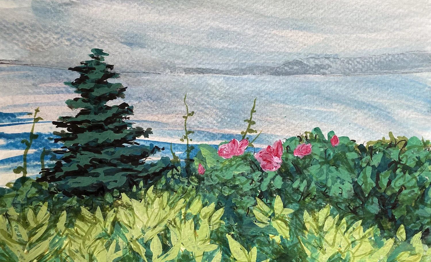 Owls Head Roses.jpg