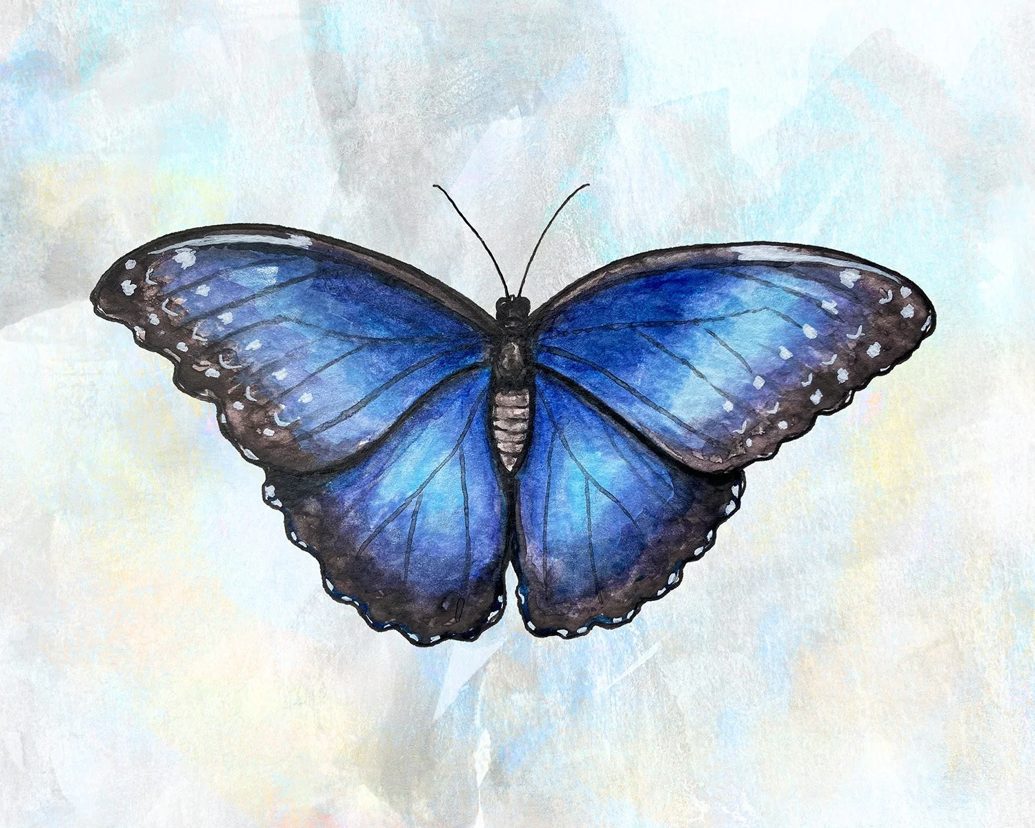 Blue Morpho final.jpg