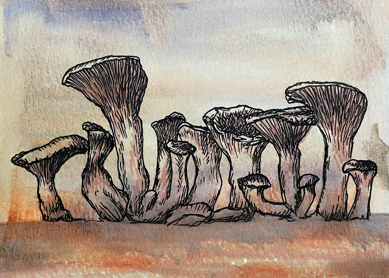 Chanterelles 5x7 new.jpg