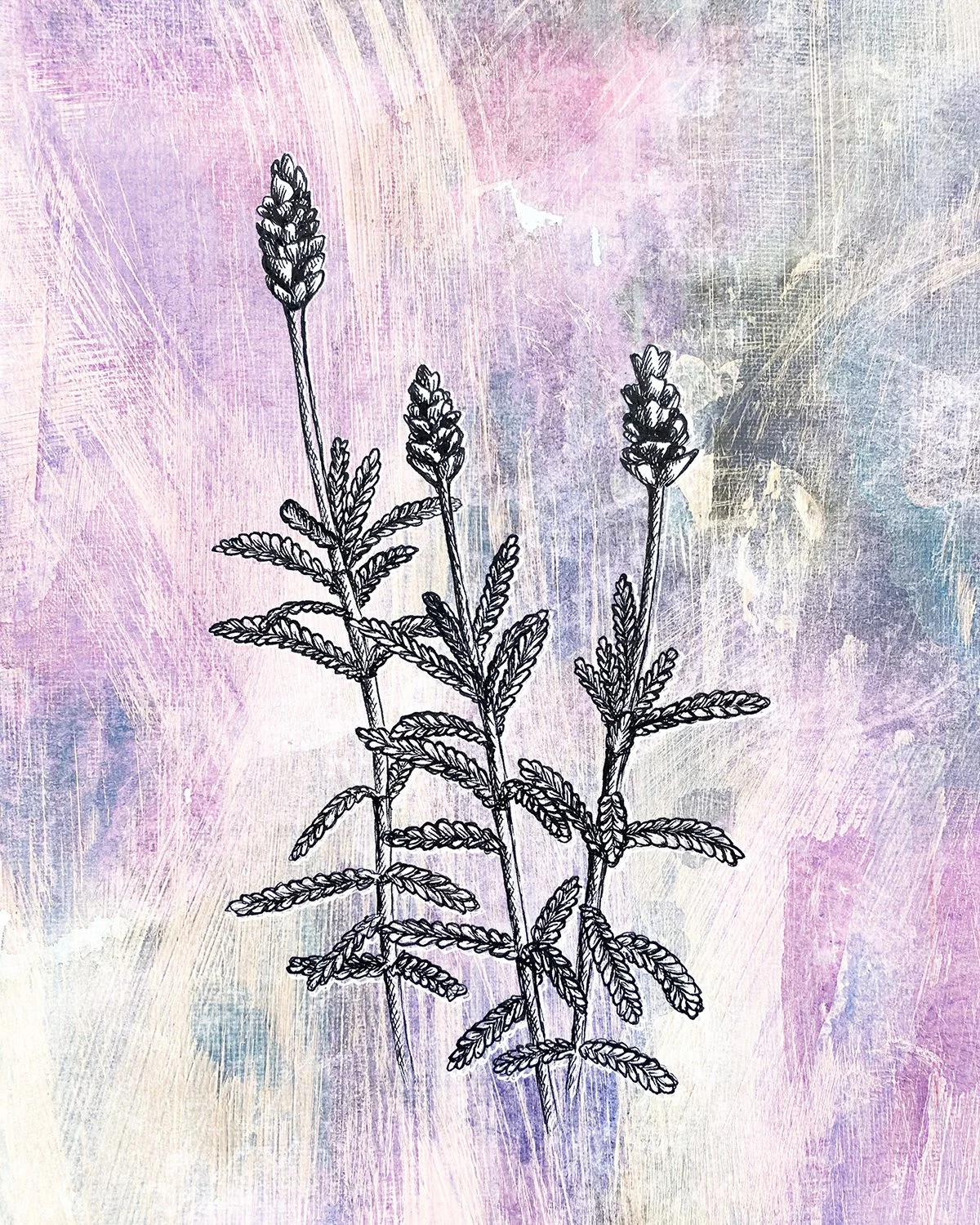 Lavender 7.jpg