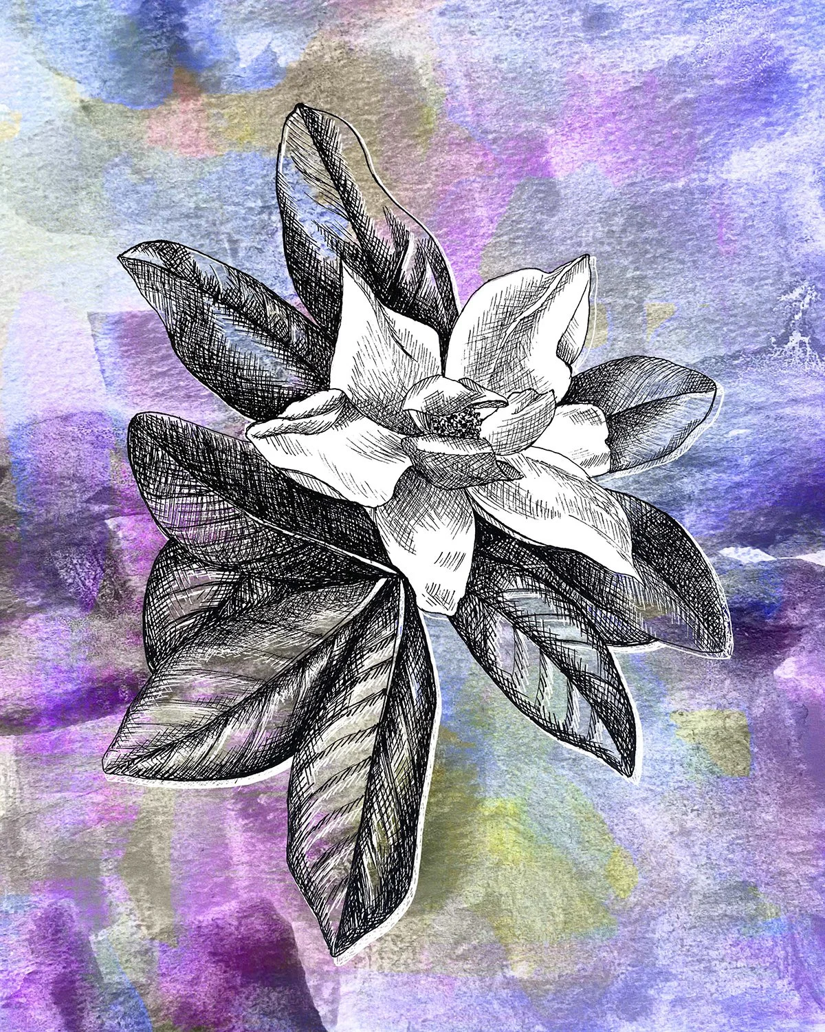 Magnolia NEW.jpg