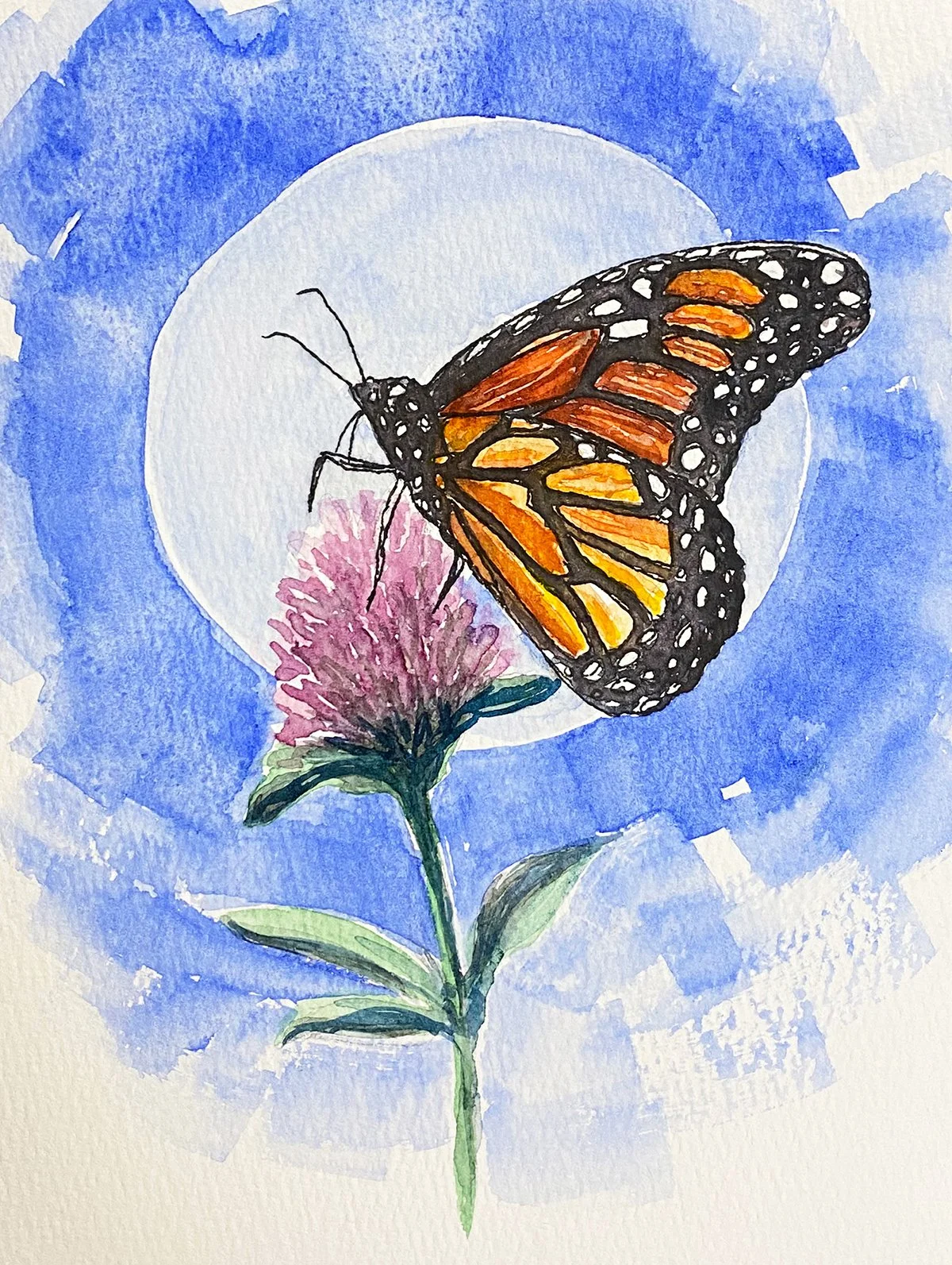 Monarch.jpg