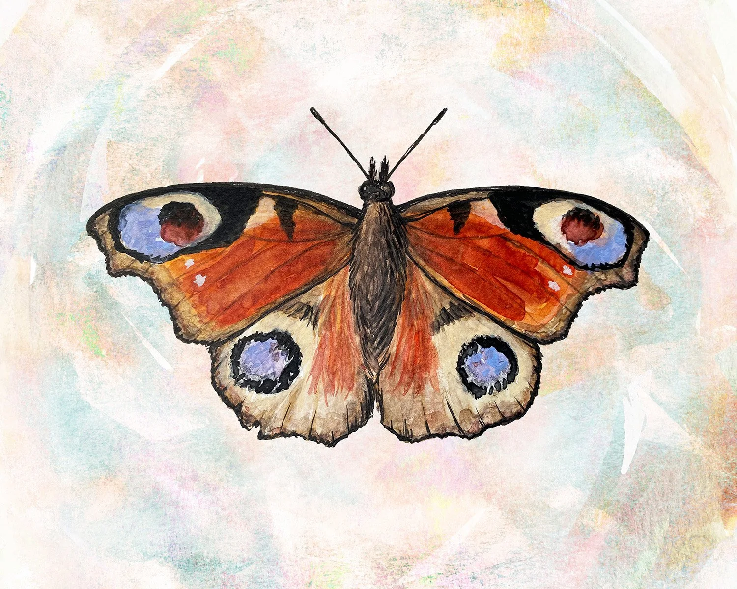 Peacock Butterfly final.jpg