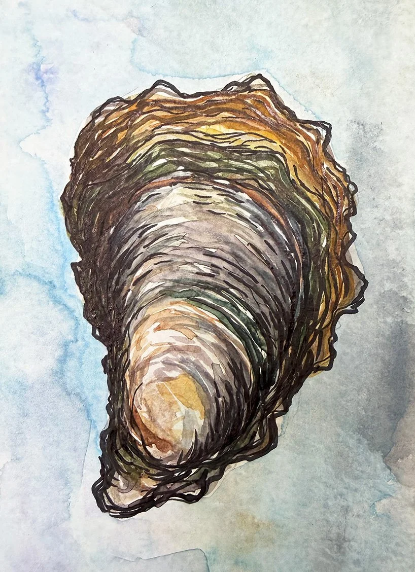oyster3sm.jpg