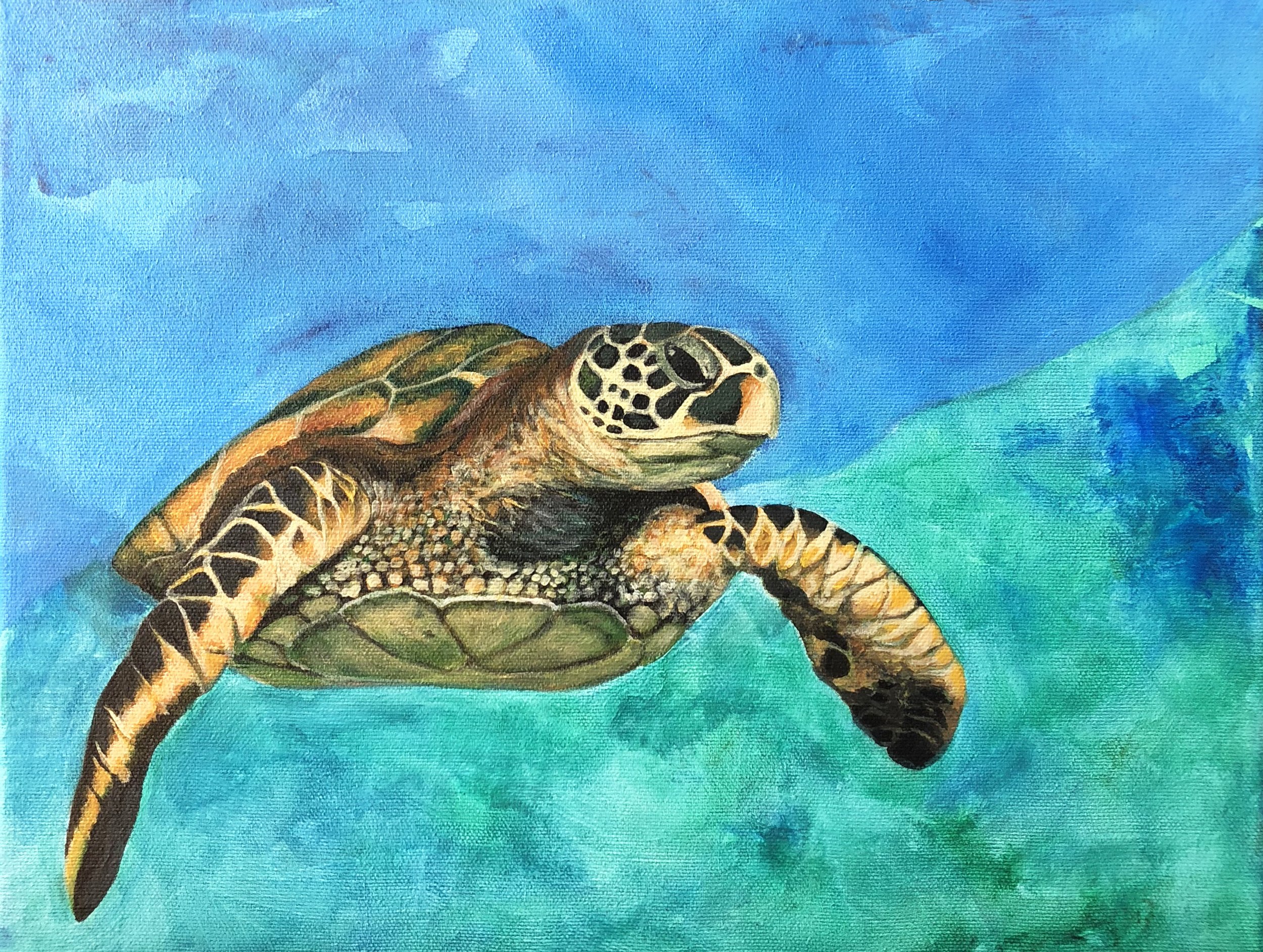Turtle.jpg