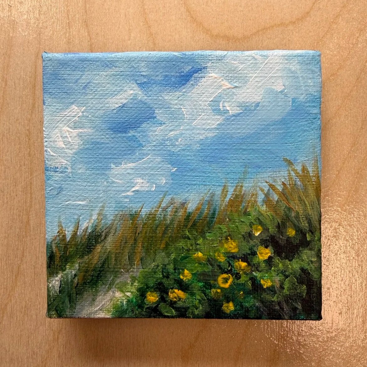 Dune+Grass.jpg