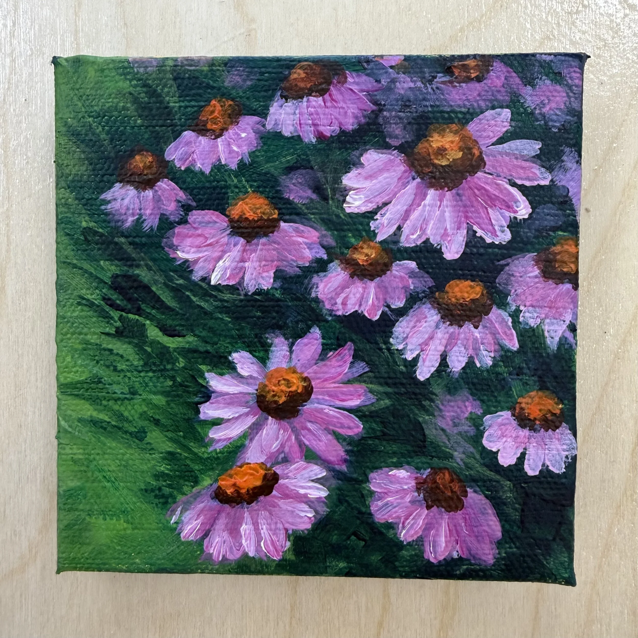 Cone Flowers.jpeg