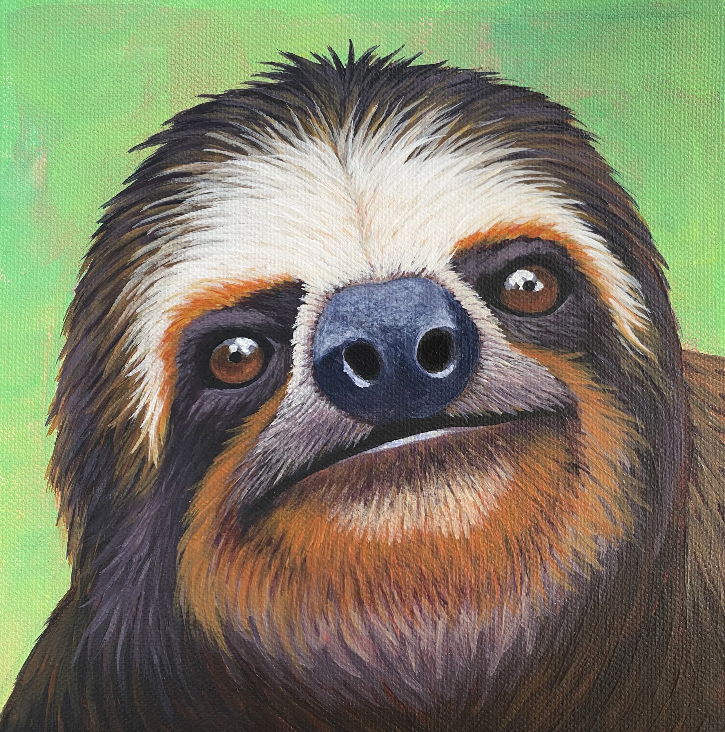 Sloth 1.jpg