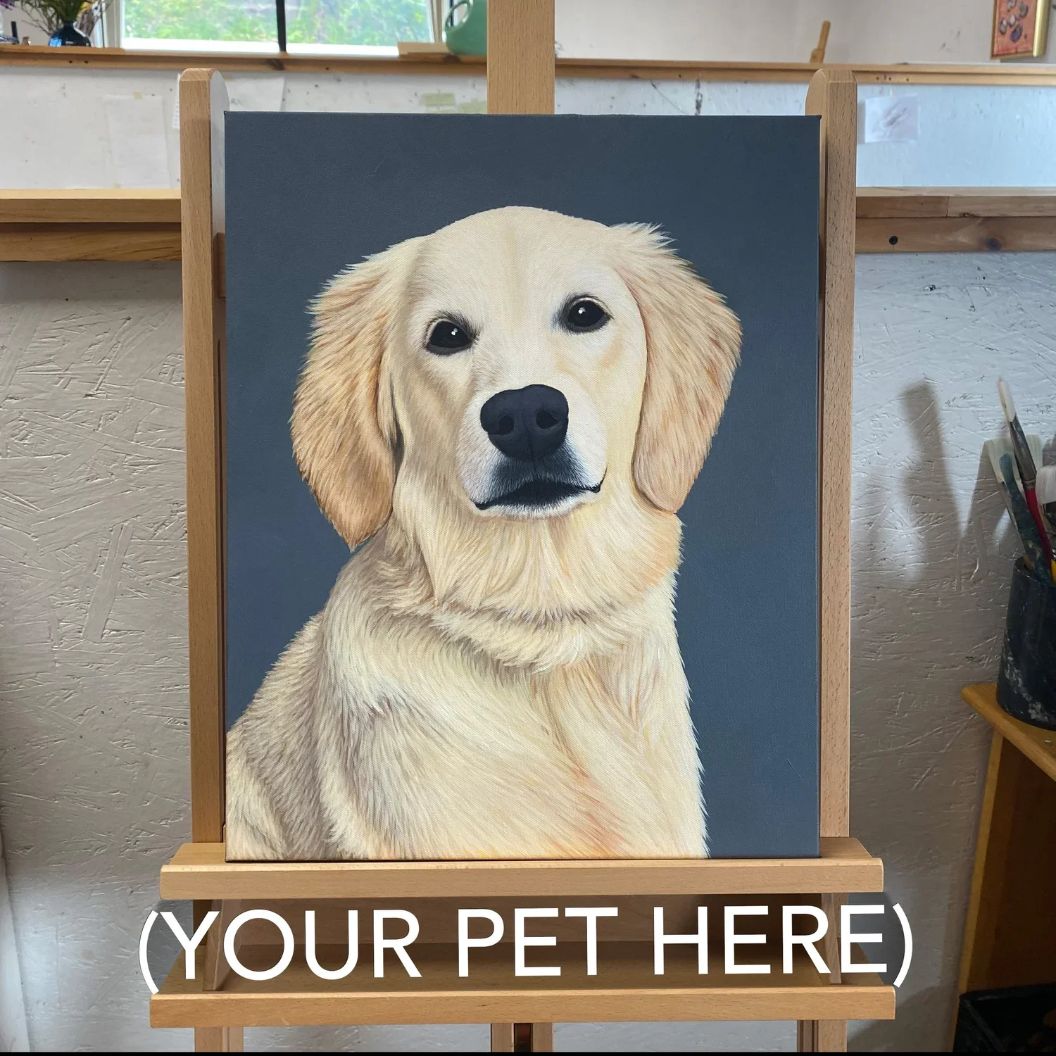 your+pet+here.webp
