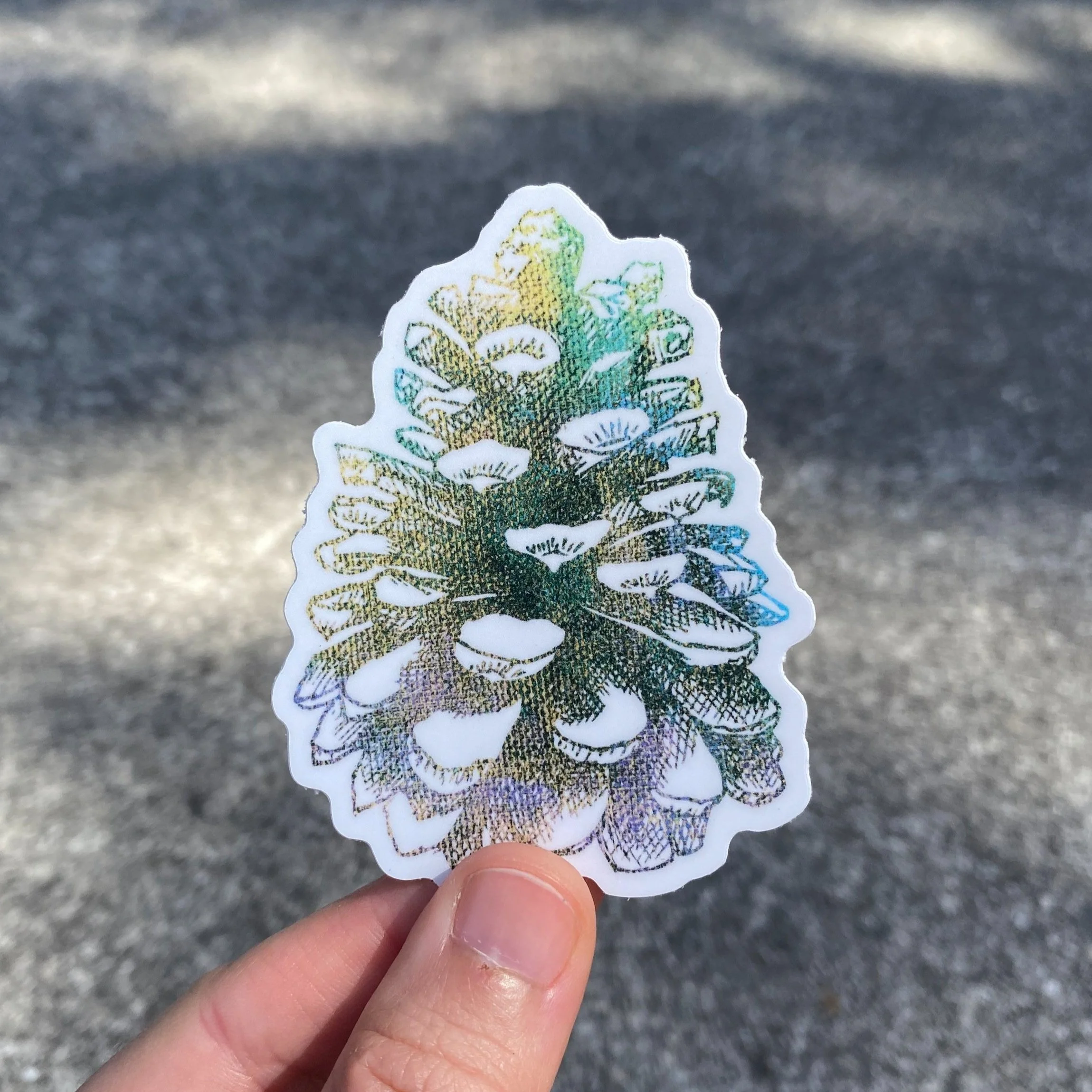 Pinecone Sticker