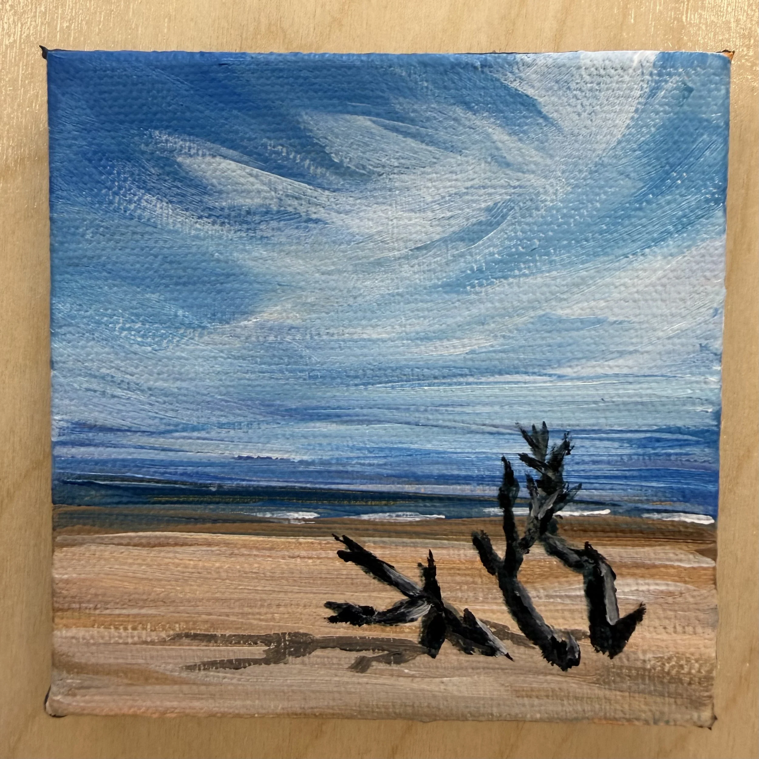 Driftwood Beach.jpeg