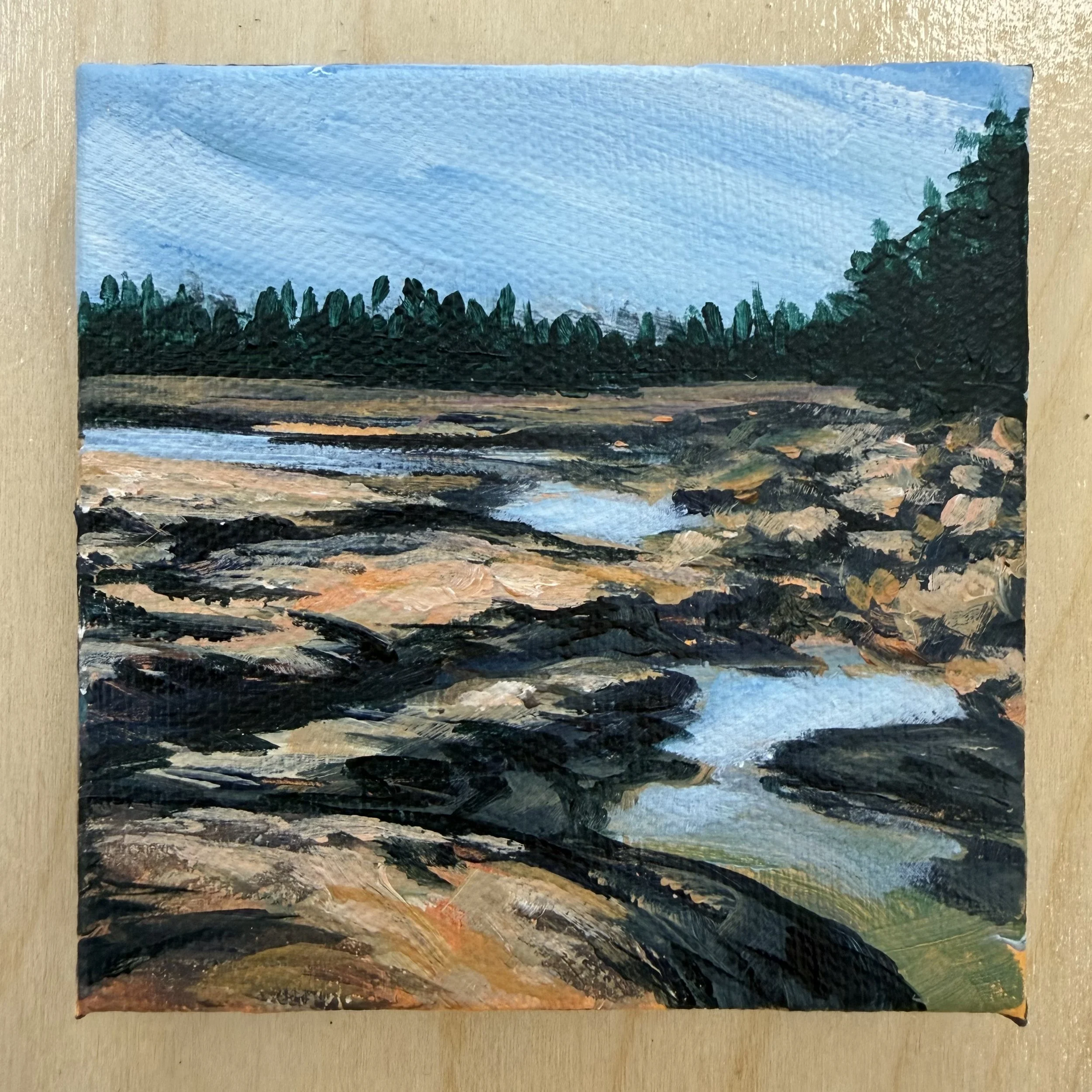 Owls Head Tide Pools