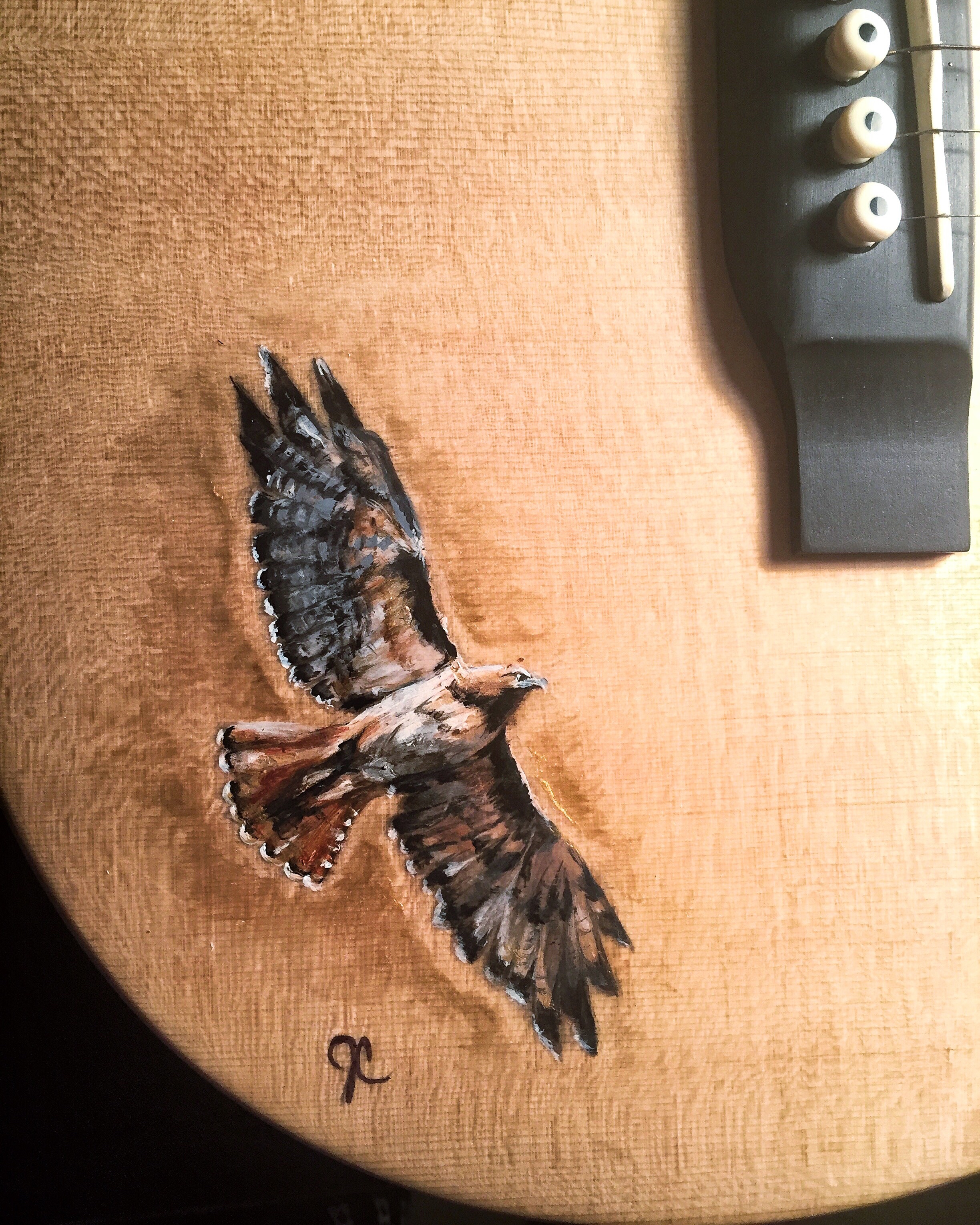 Red Tail Hawk