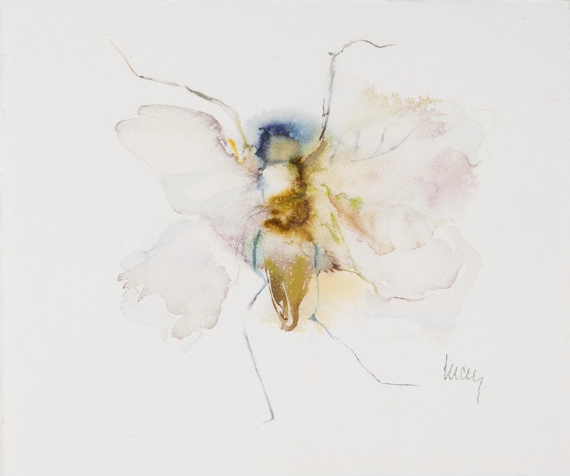 Moth Fluttering, 2012
