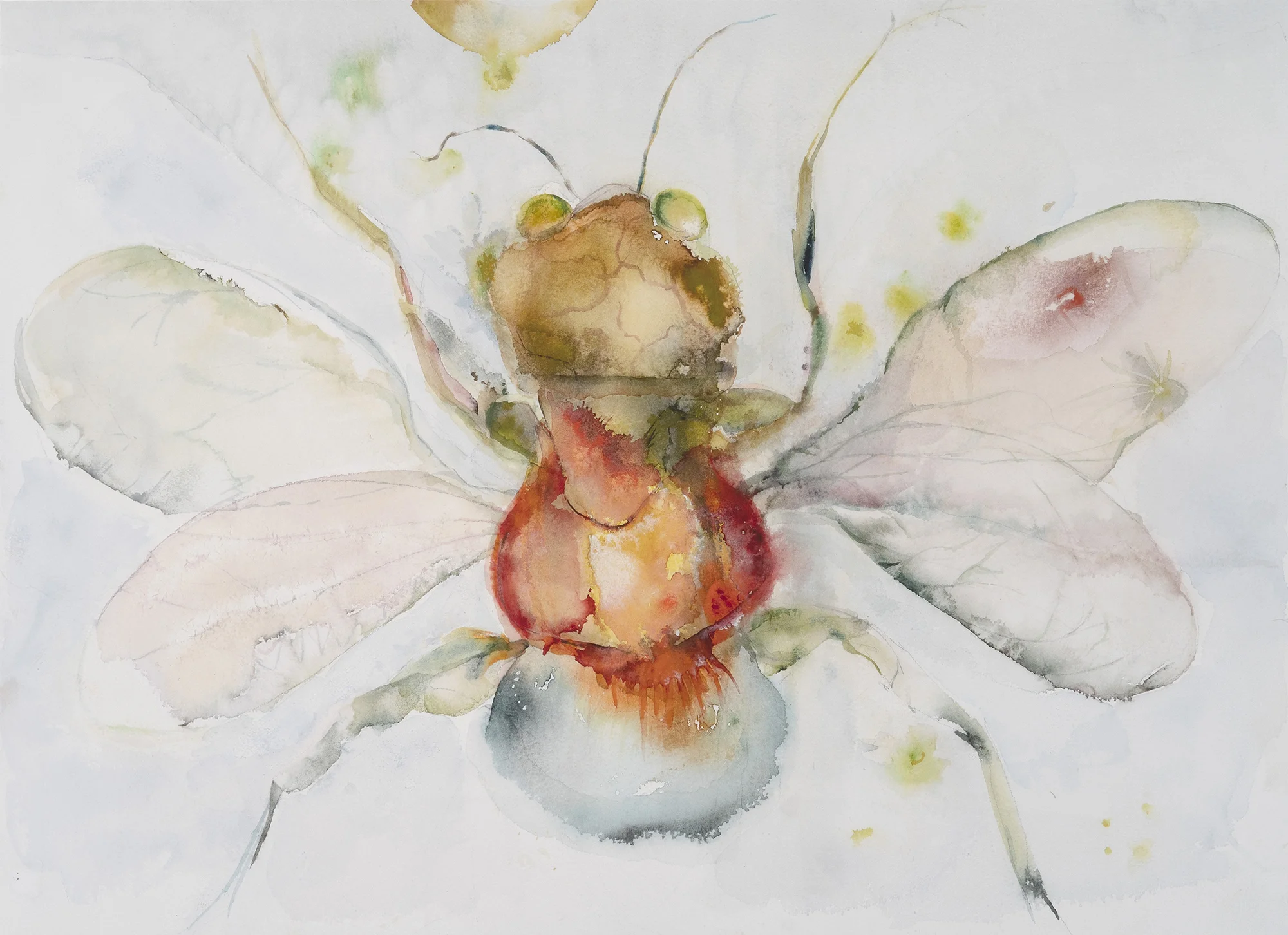 Moth II (Little Bee), 2009