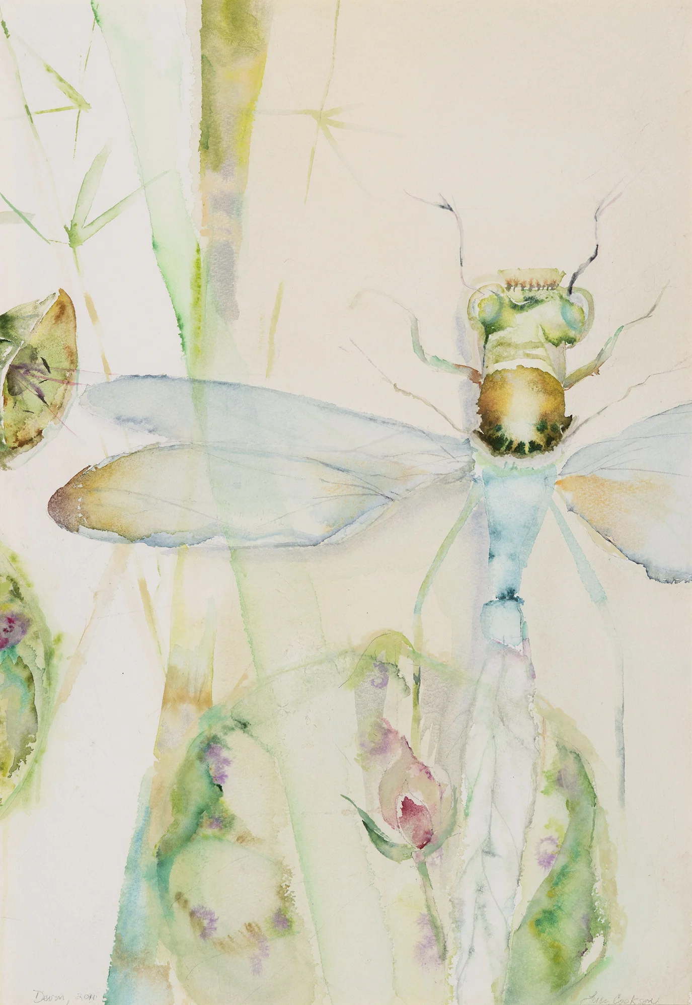 Dragonfly over Lotus, 2011