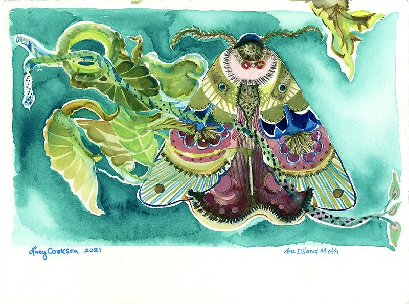 The Island Moth, 2021