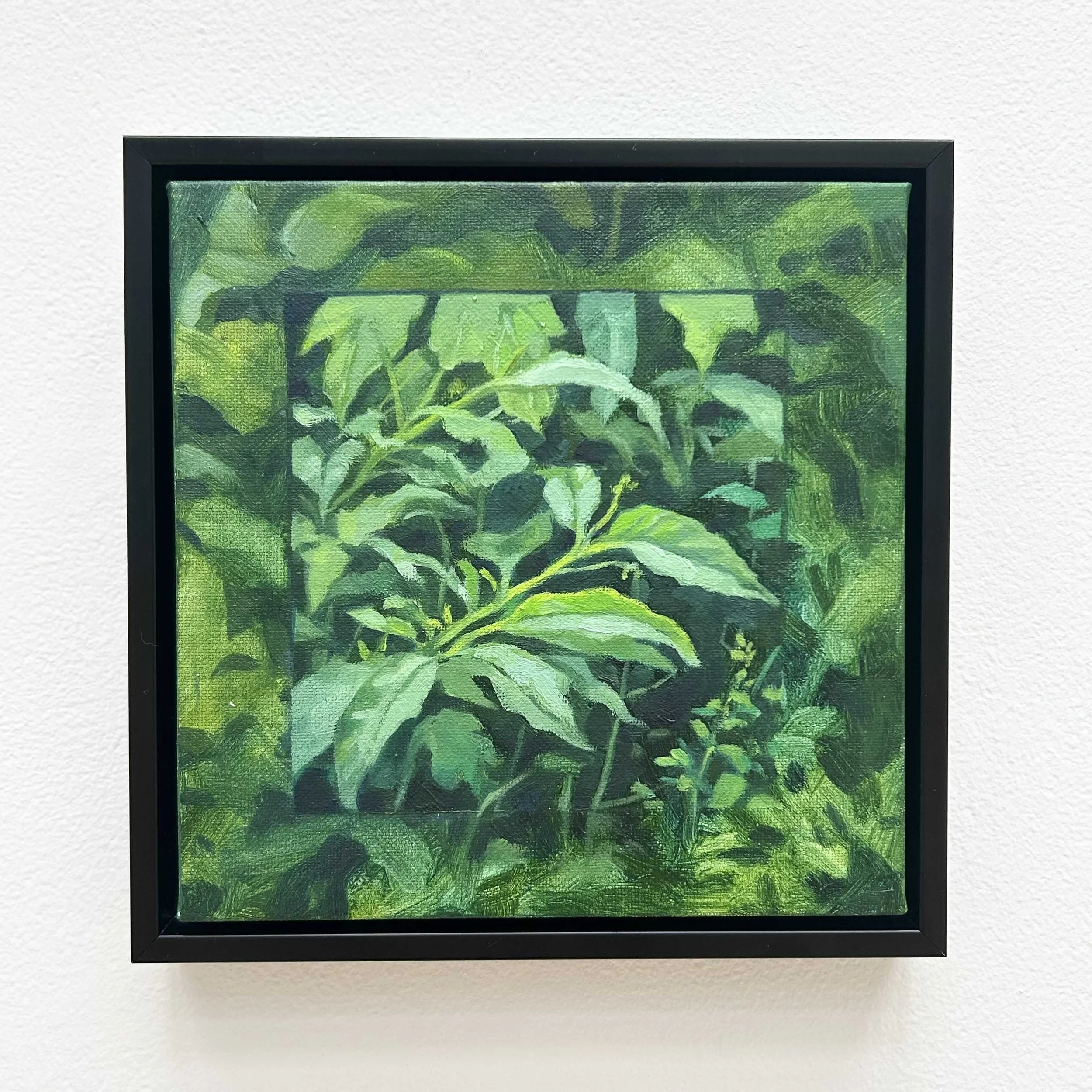 Nicole Ganelin: Semblance, NLG3