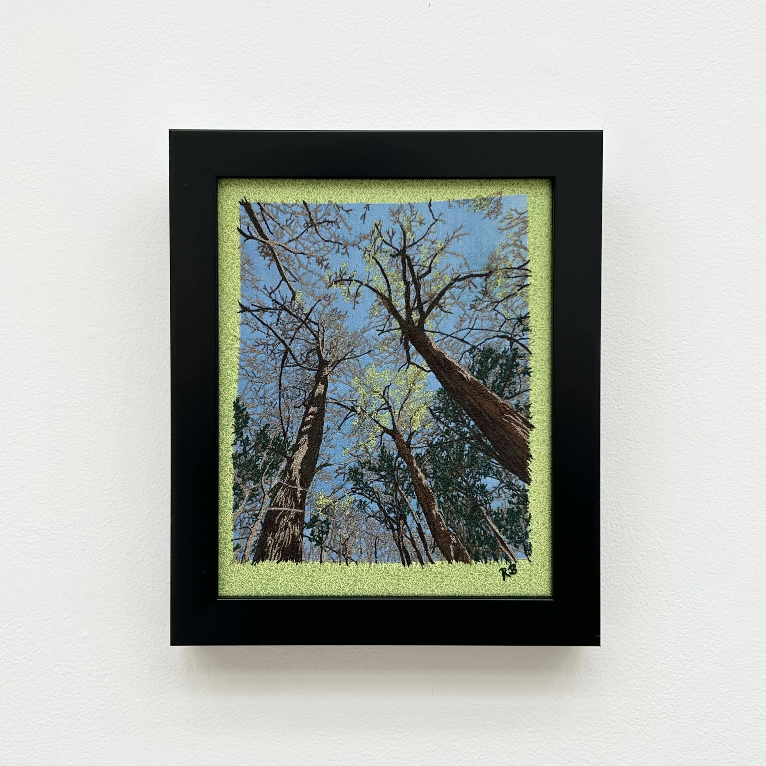 Roxanne Brown: Spring Canopy, RCB1