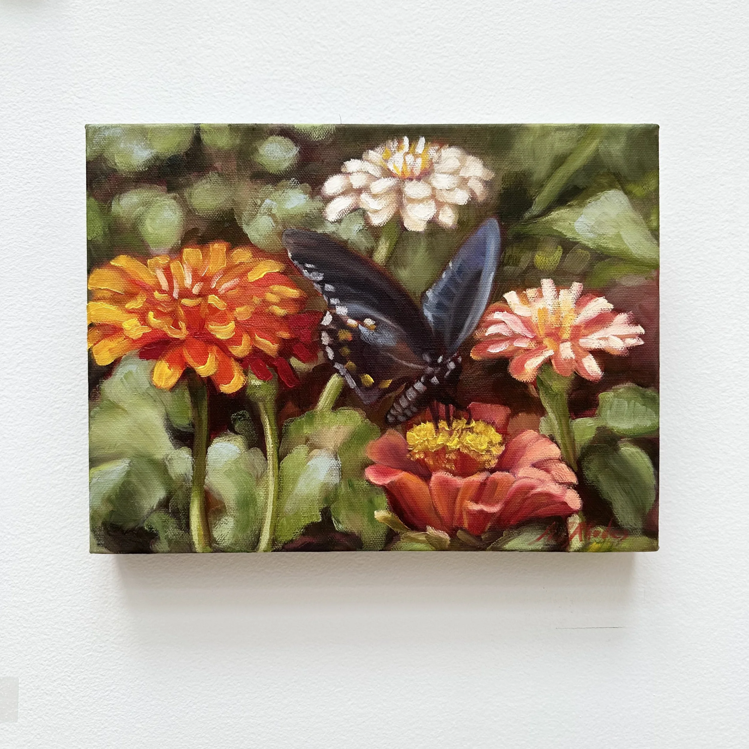 Ann Rhodes: Dark Butterfly, AR8