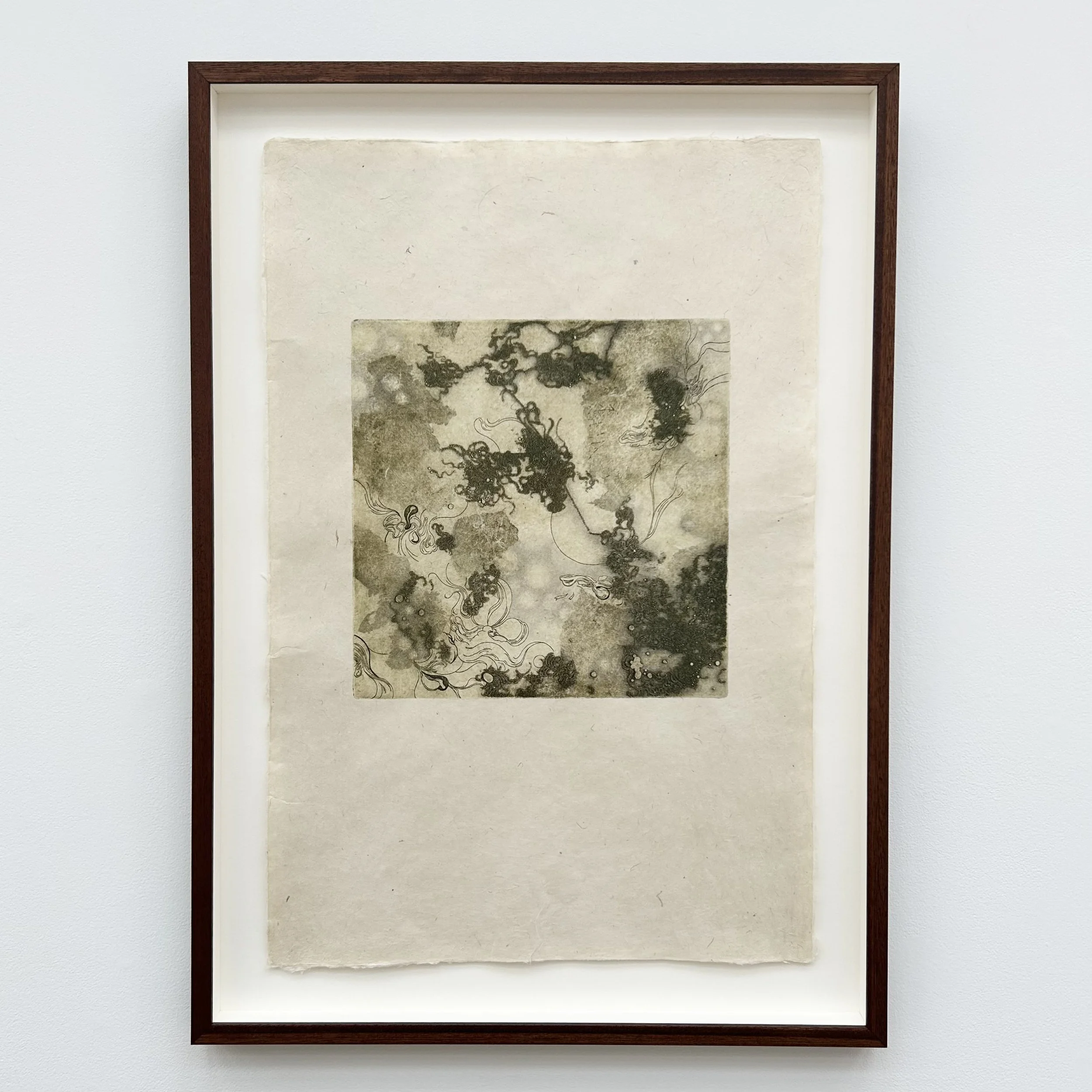 Hannah Adair: mire, HLA4