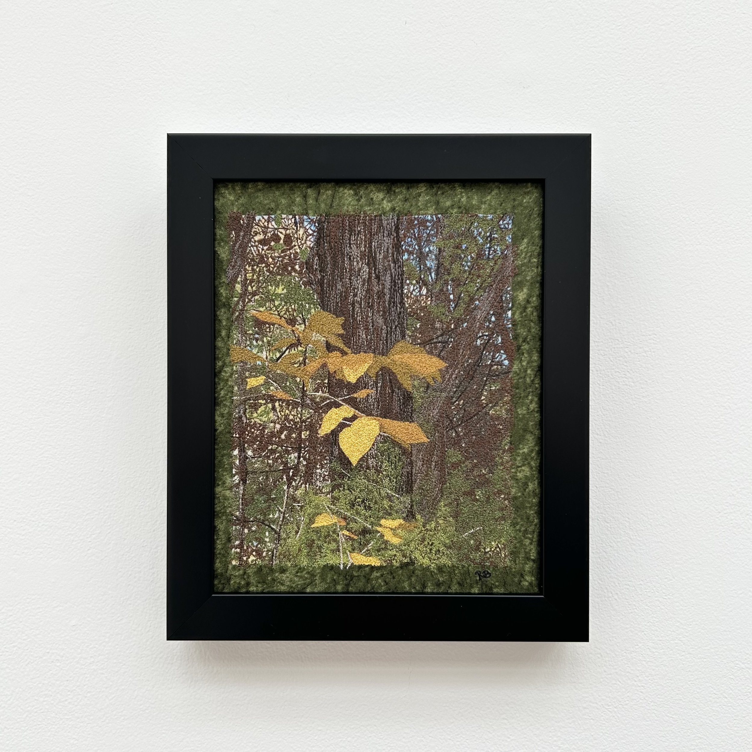 Roxanne Brown: Autumn Radiance, RCB4